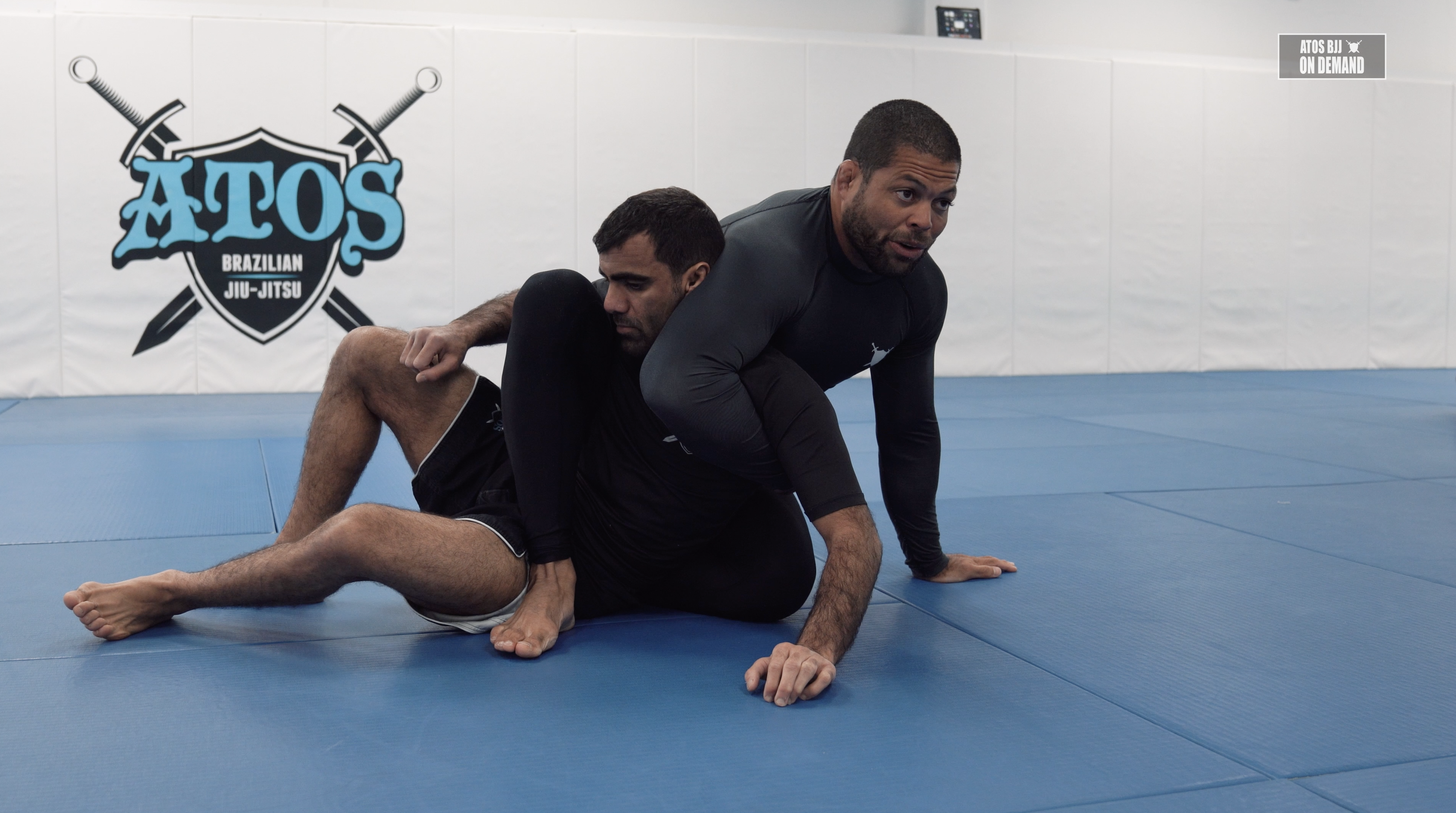 Maintaining the Back | Part 1