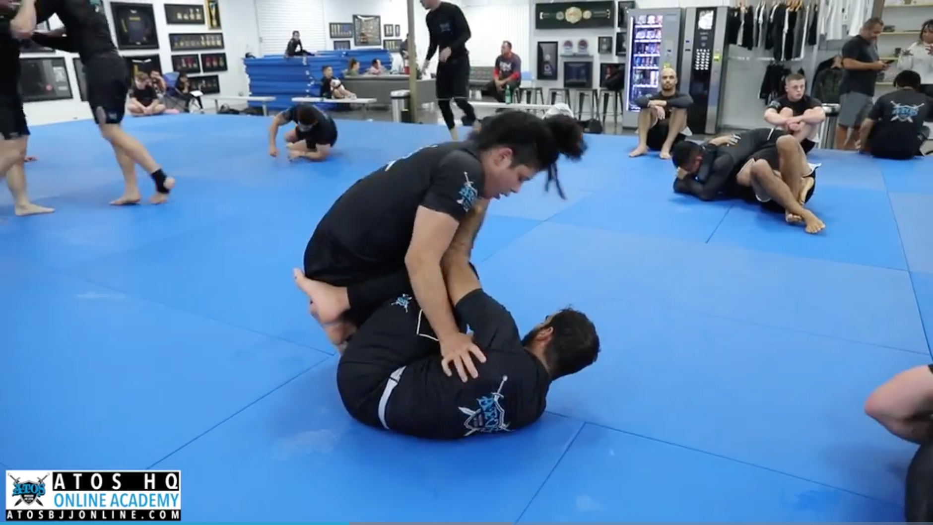 Sparring - Rafaela Guedes