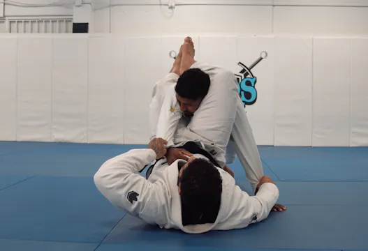 Submissions From Double Sleeve Guard ...