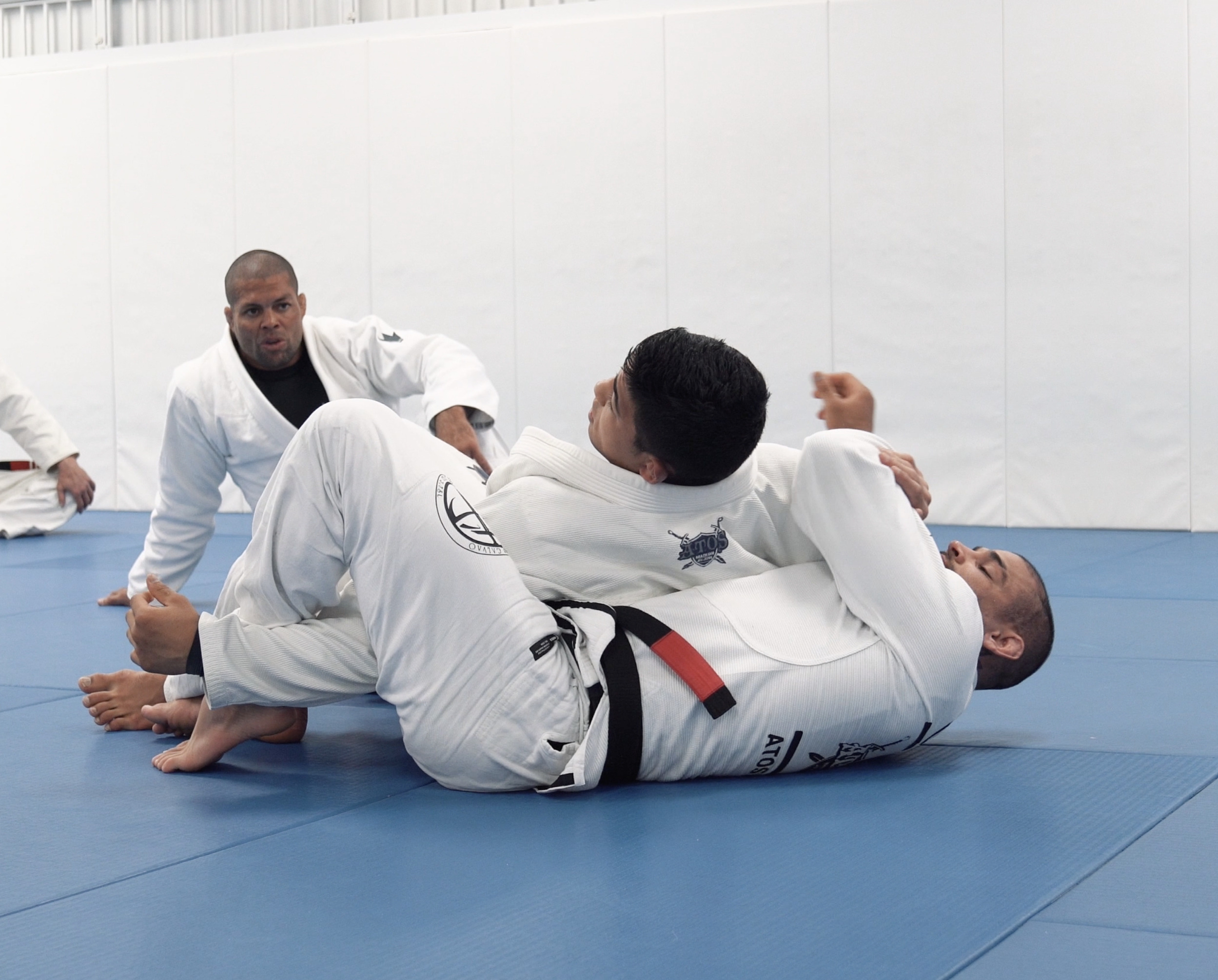 Turtle Position Defense | Part 2