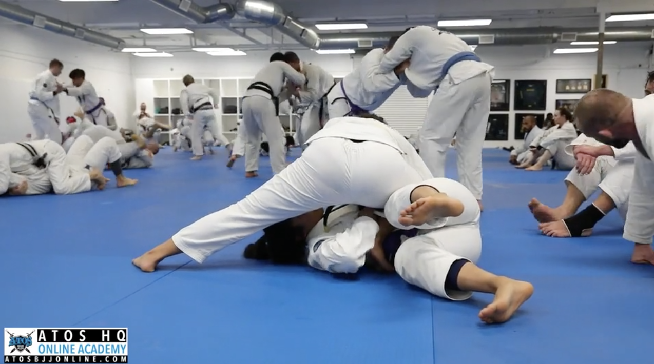 Sarah Galvao (Yellow) vs Sirena (Purple)