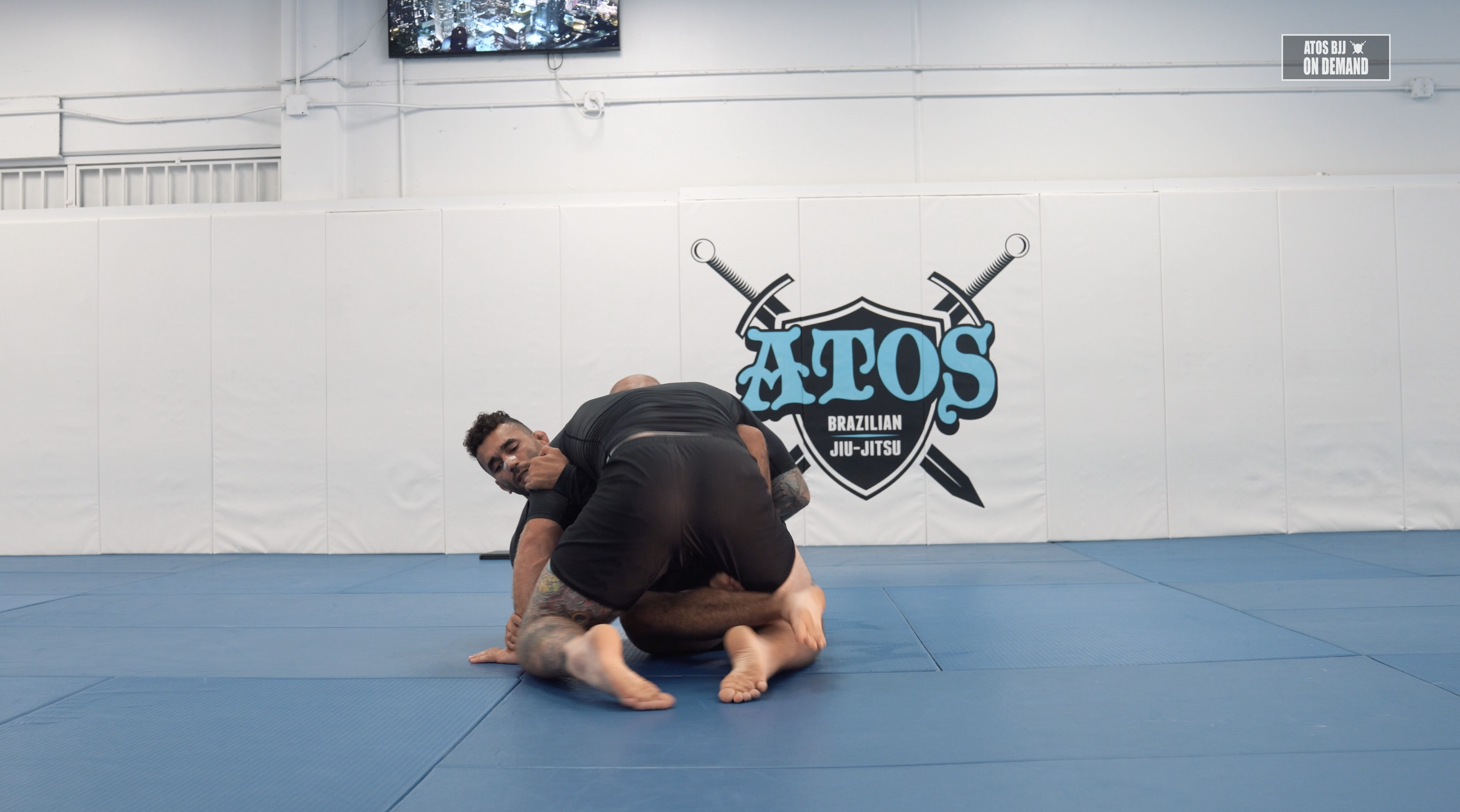 Fishing Pole | Part 1: Butterfly Sweep 