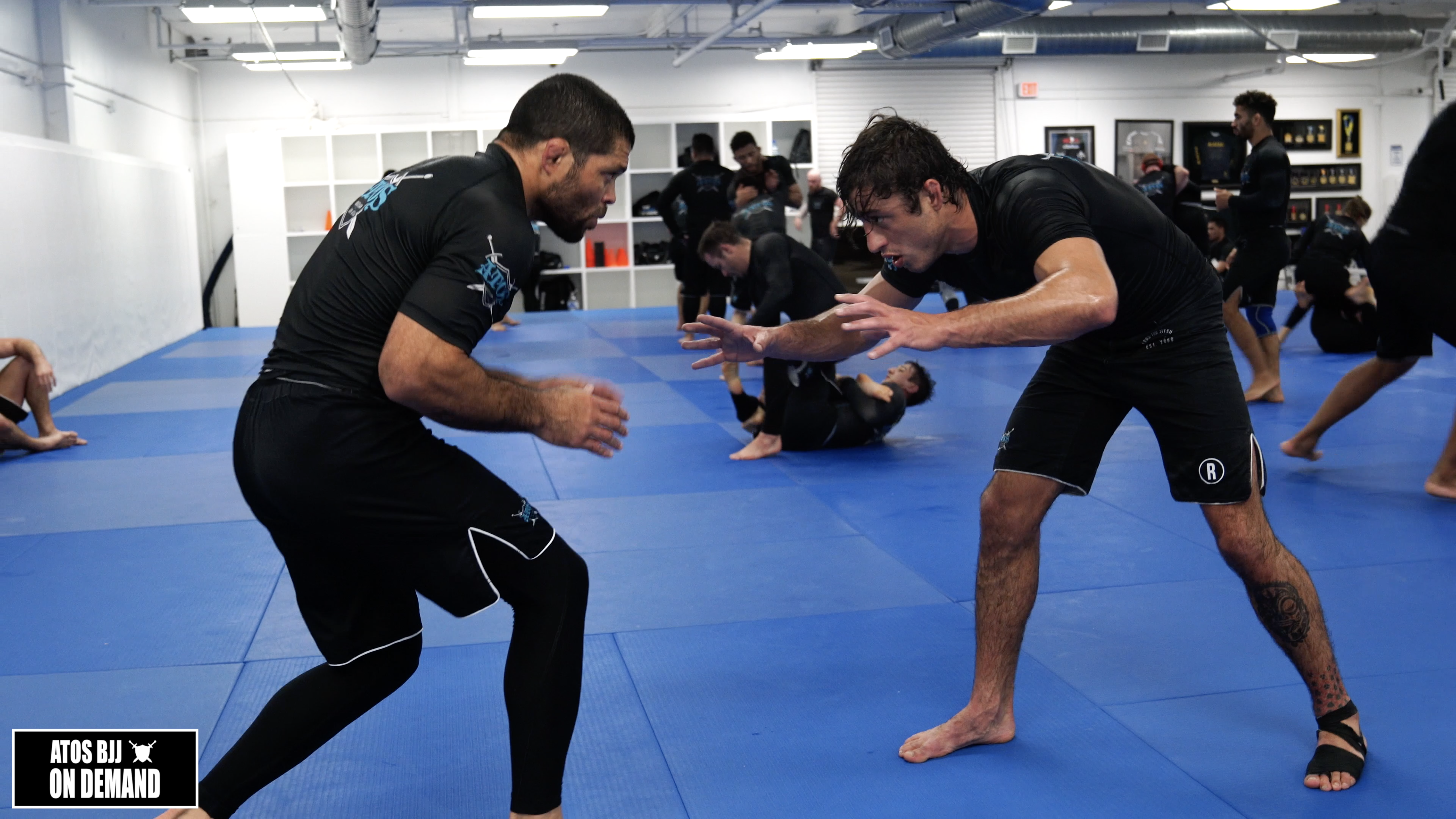 Andre Galvao vs Calon Sabino