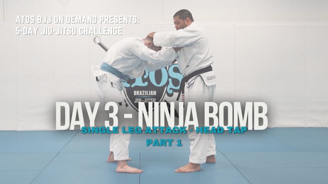 Day #3: “Ninja Bomb” Single Leg Attac...