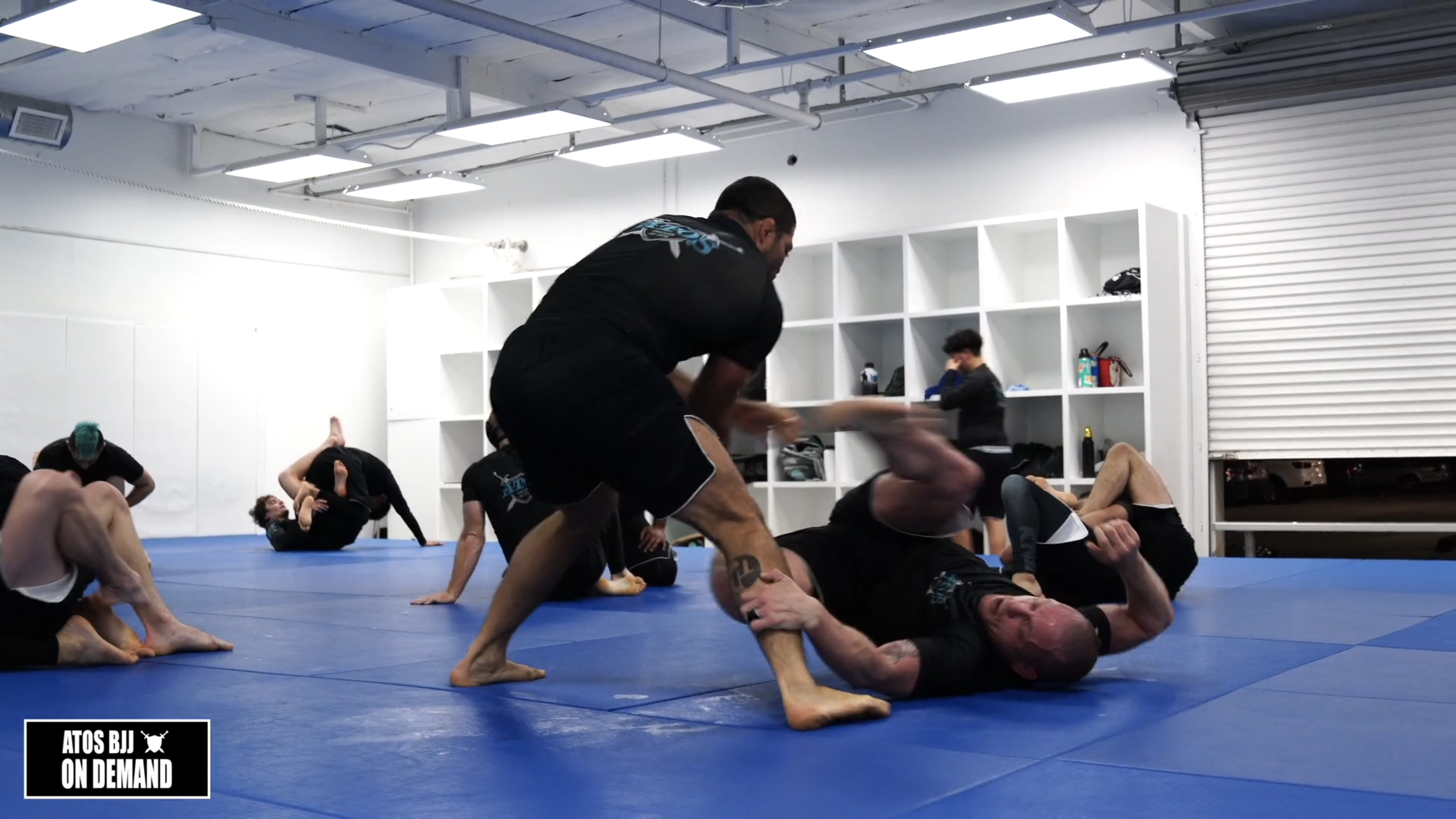 Sparring: Andre Galvao vs Josh Wilson(Black Belt) 