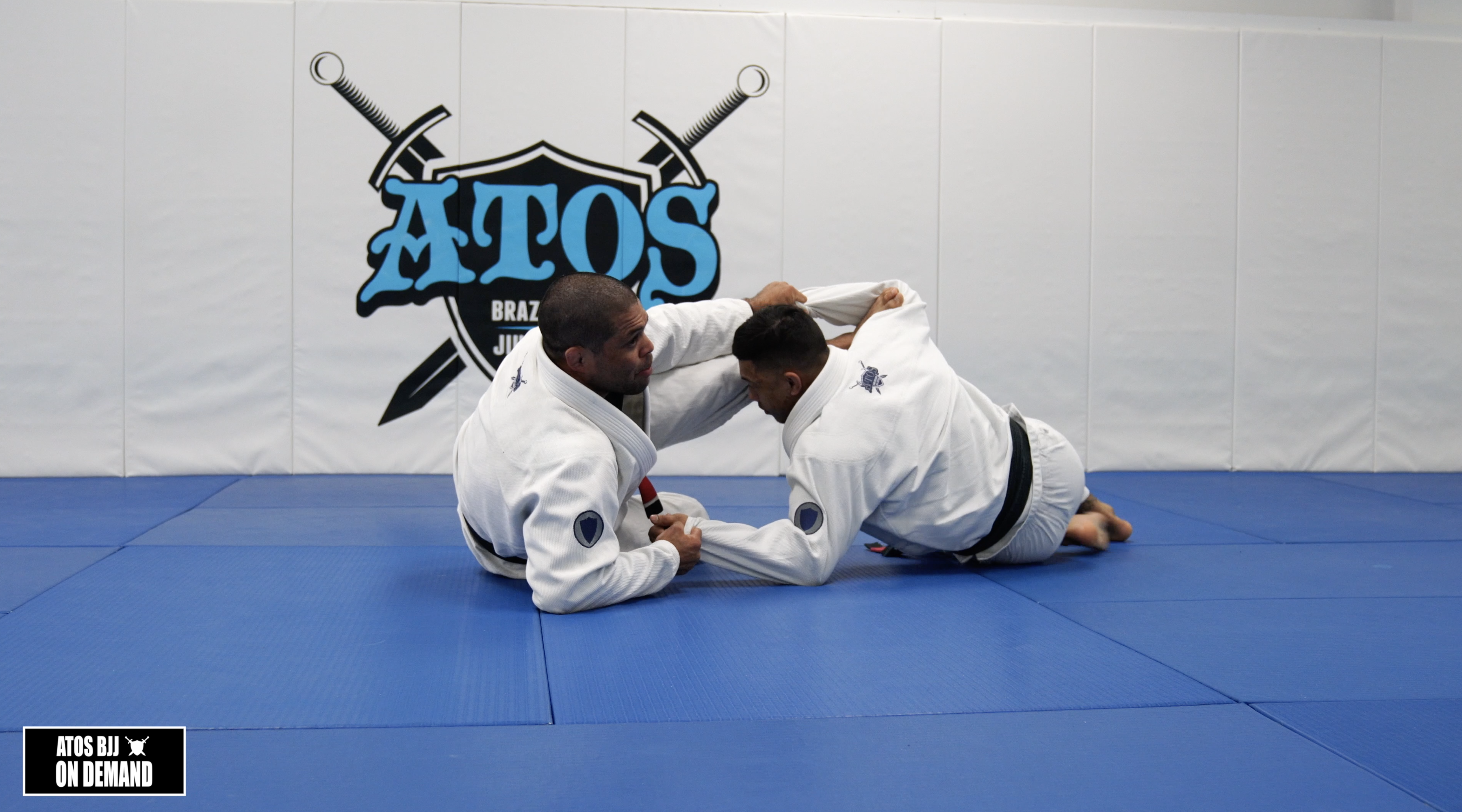 Spider Guard to Triangle