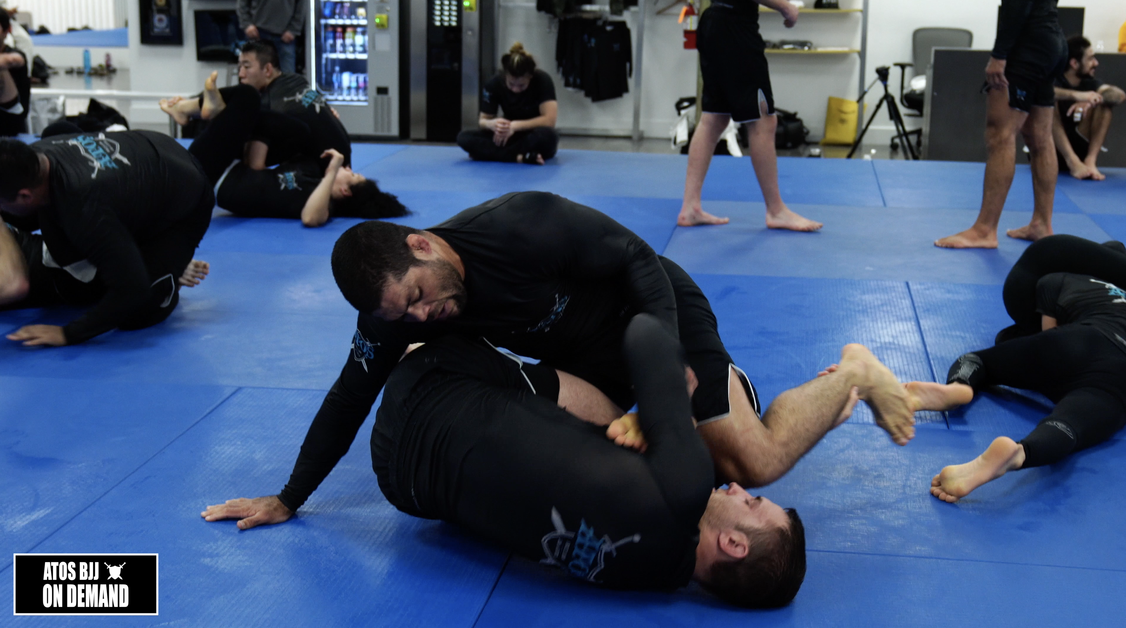 Andre Galvao vs Bradley Ringler