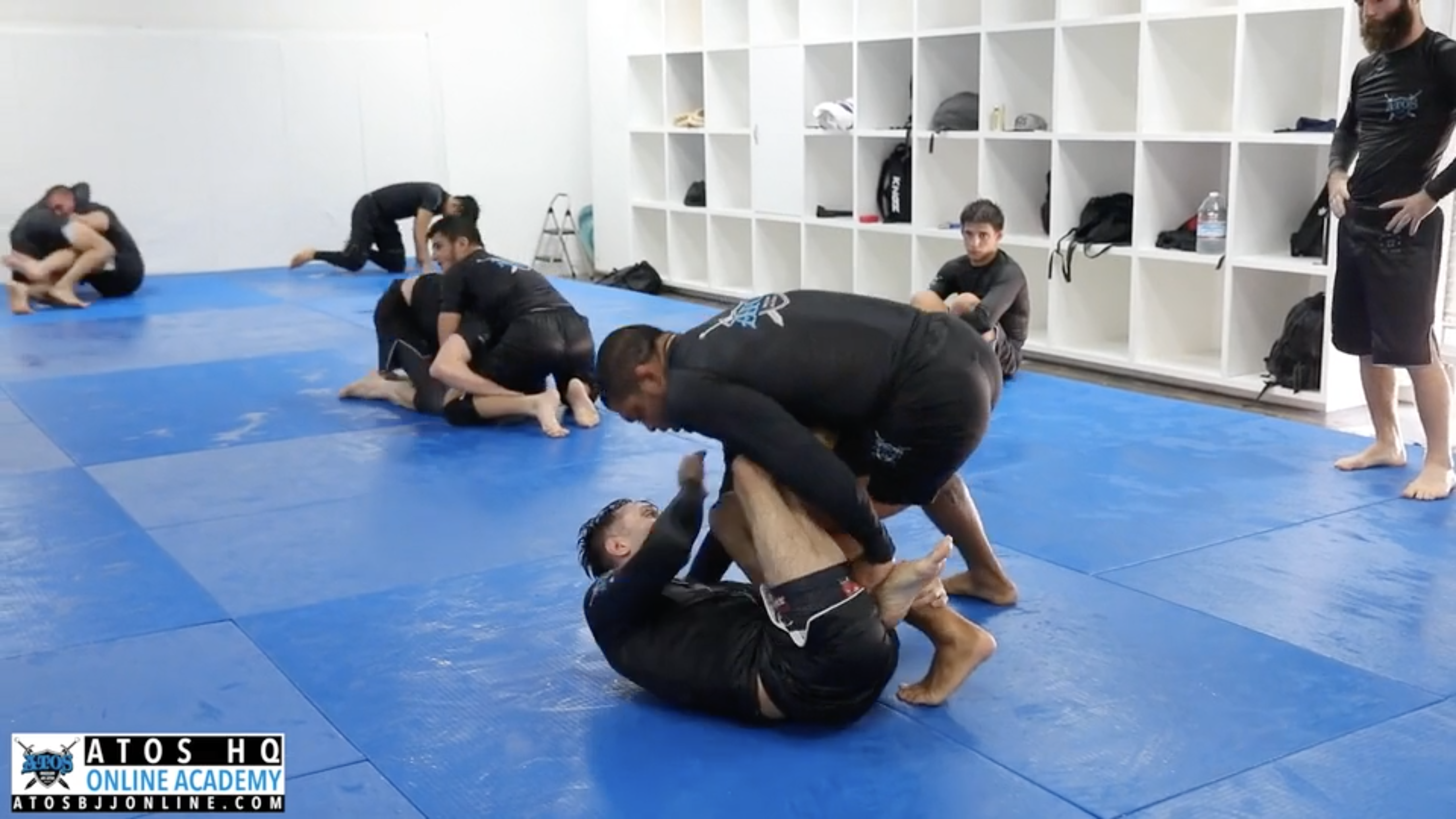 Watch Andre Galvao vs Geo Martinez (10th Planet Black Belt)