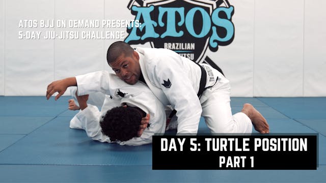 Day #5: Turtle Position - Part 1 | 5-...