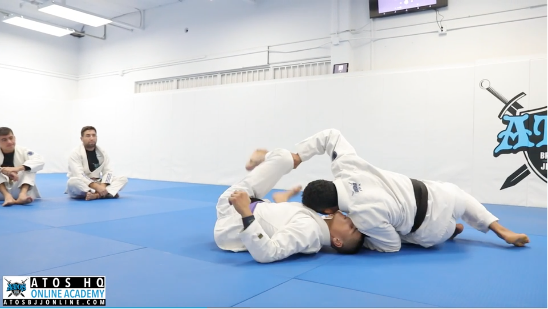 Basic Long Step Pass From Reverse DLR and Knee Shield
