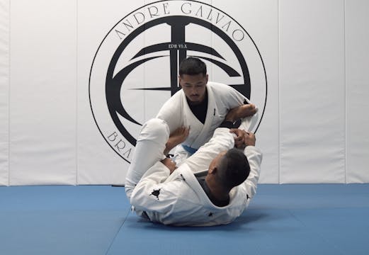 Overview of Upper Body Guards