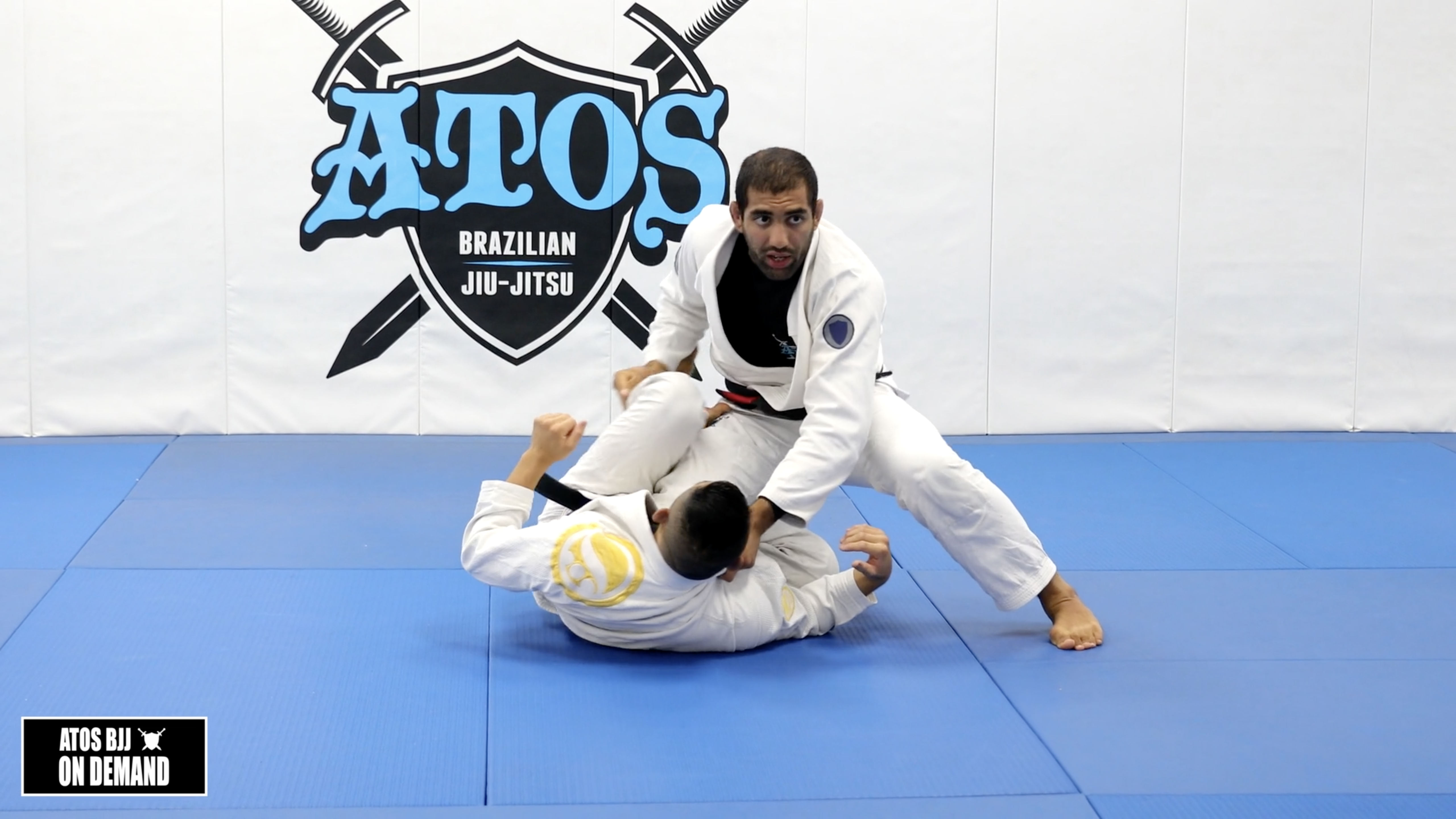 Long Step & Reverse DLR Pass