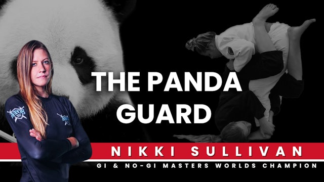 The Panda Guard Systems by Nikki Sullivan
