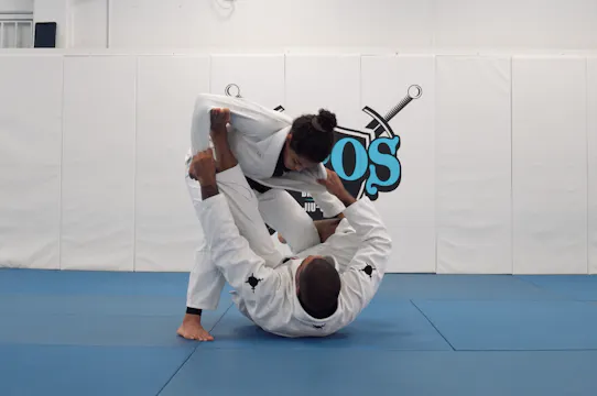 Tarantula Guard Attacks - Submissions...