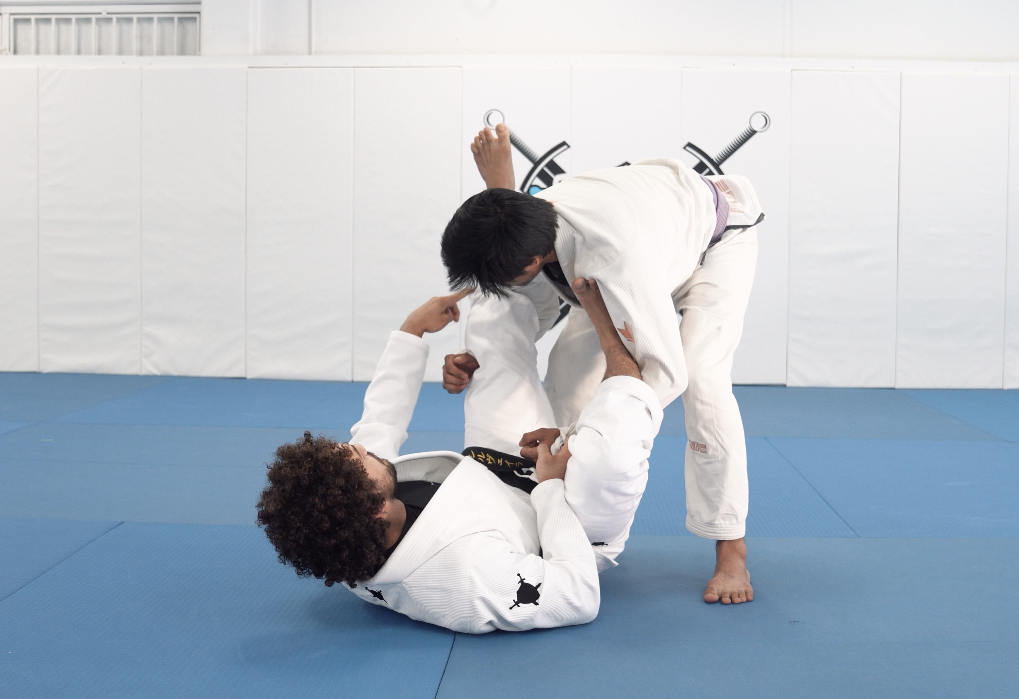 Shallow Lasso With Reverse Lasso