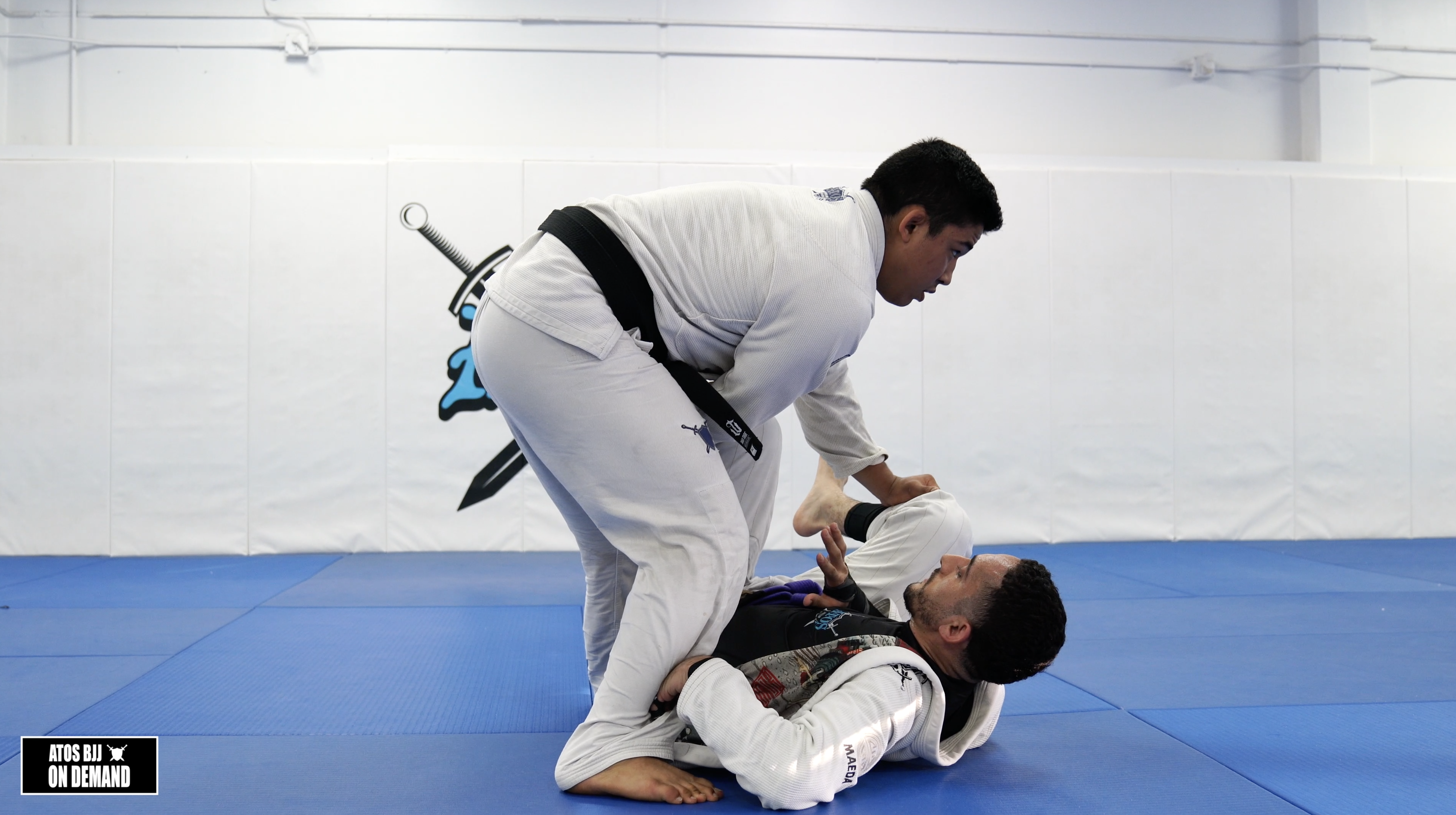 Toreando Pass from De La Riva Guard