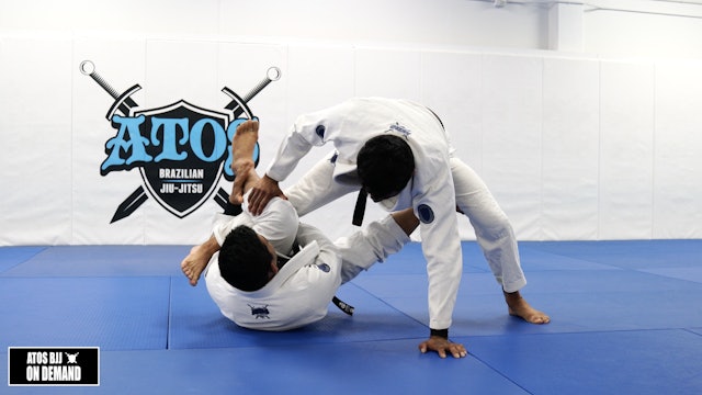 One Leg X Entry From Under Hook DLR Guard