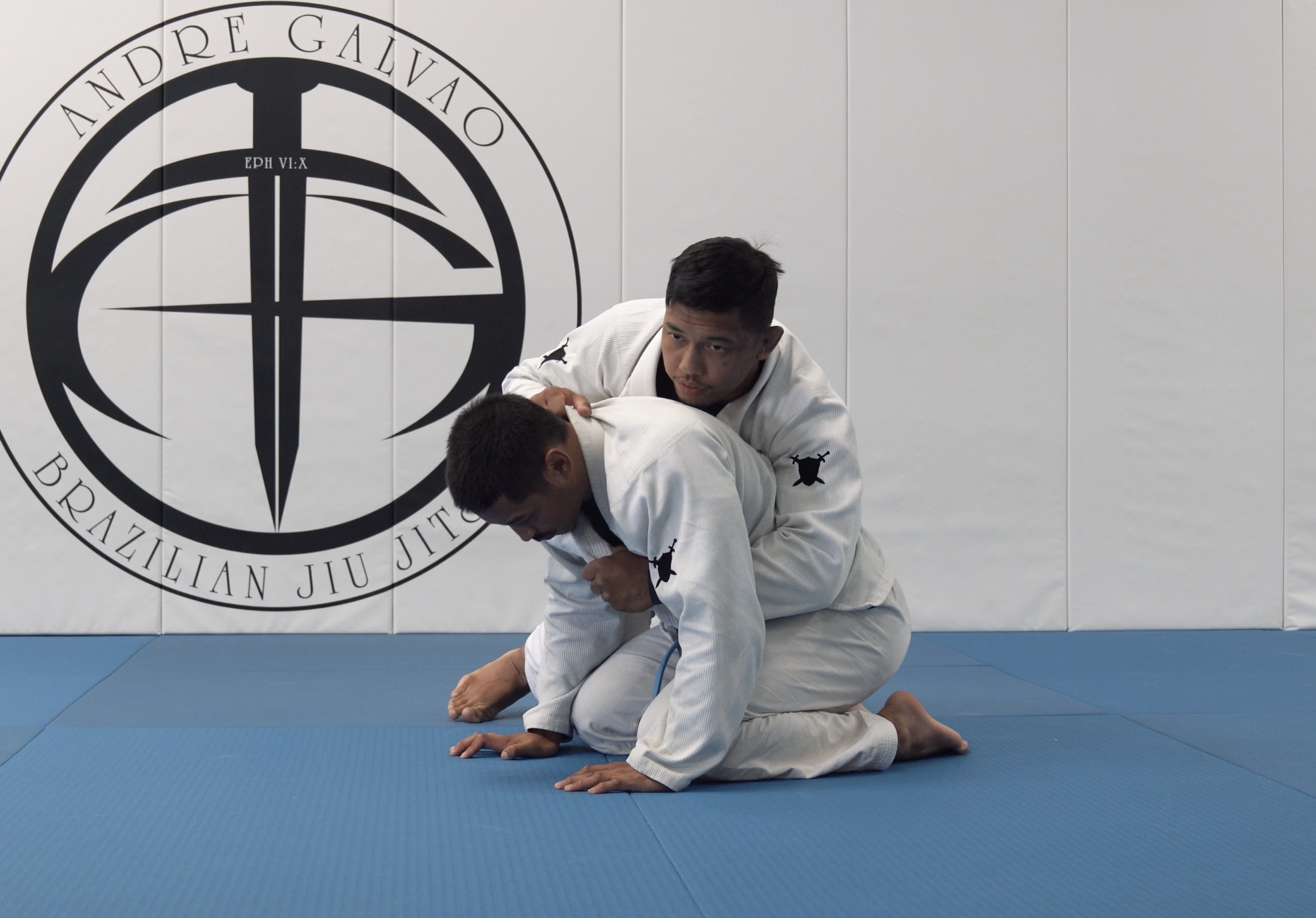 Back Takes From Turtle