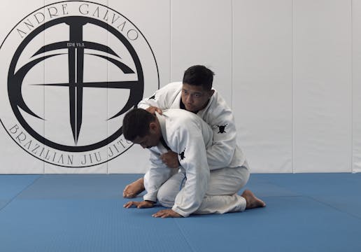 Back Takes From Turtle