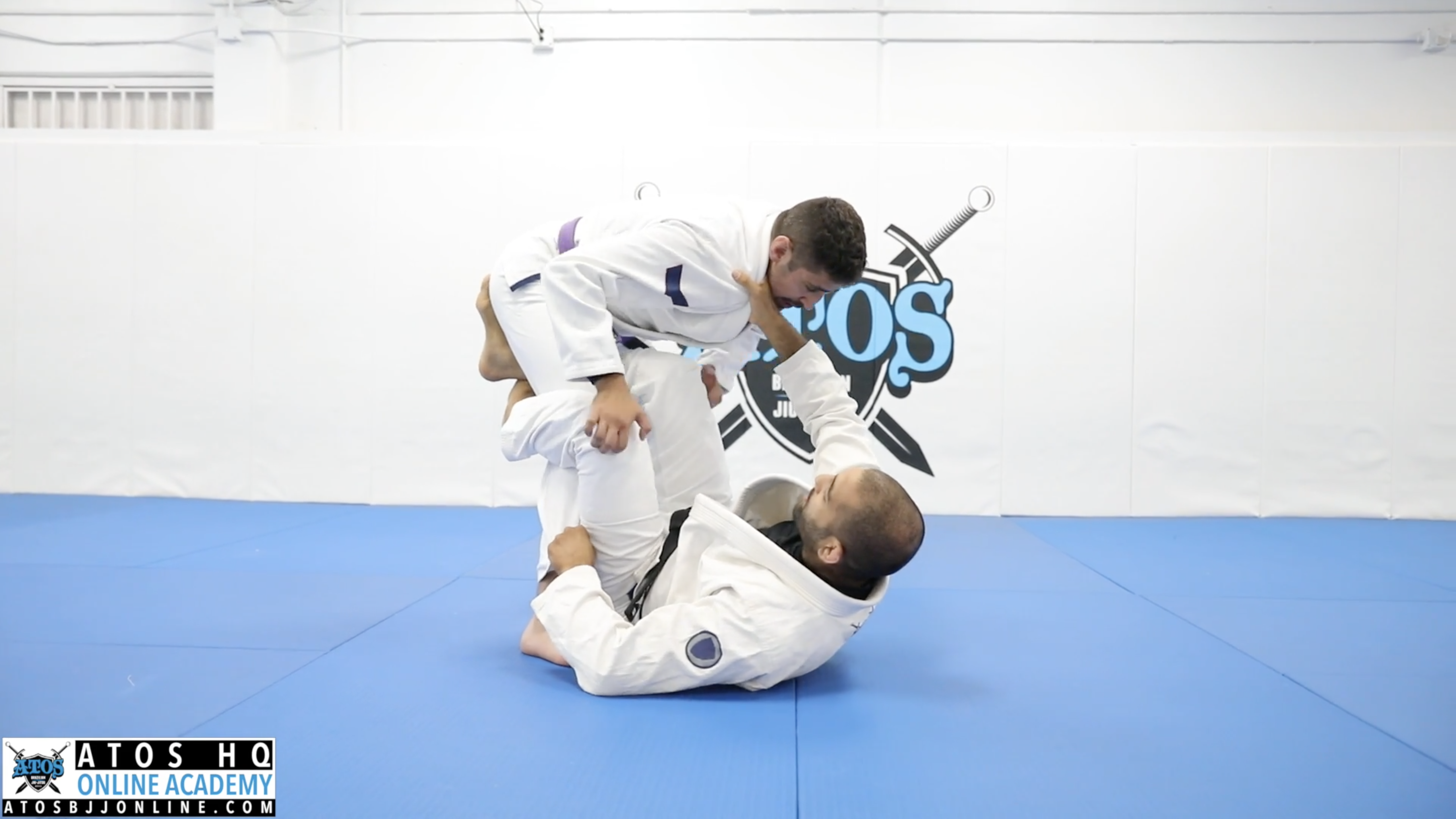 Chair Guard Chop Sweep to Back Take & Z Guard 