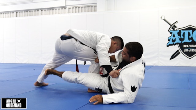 Lapel Guard to Honey Hole Transitions & Variations