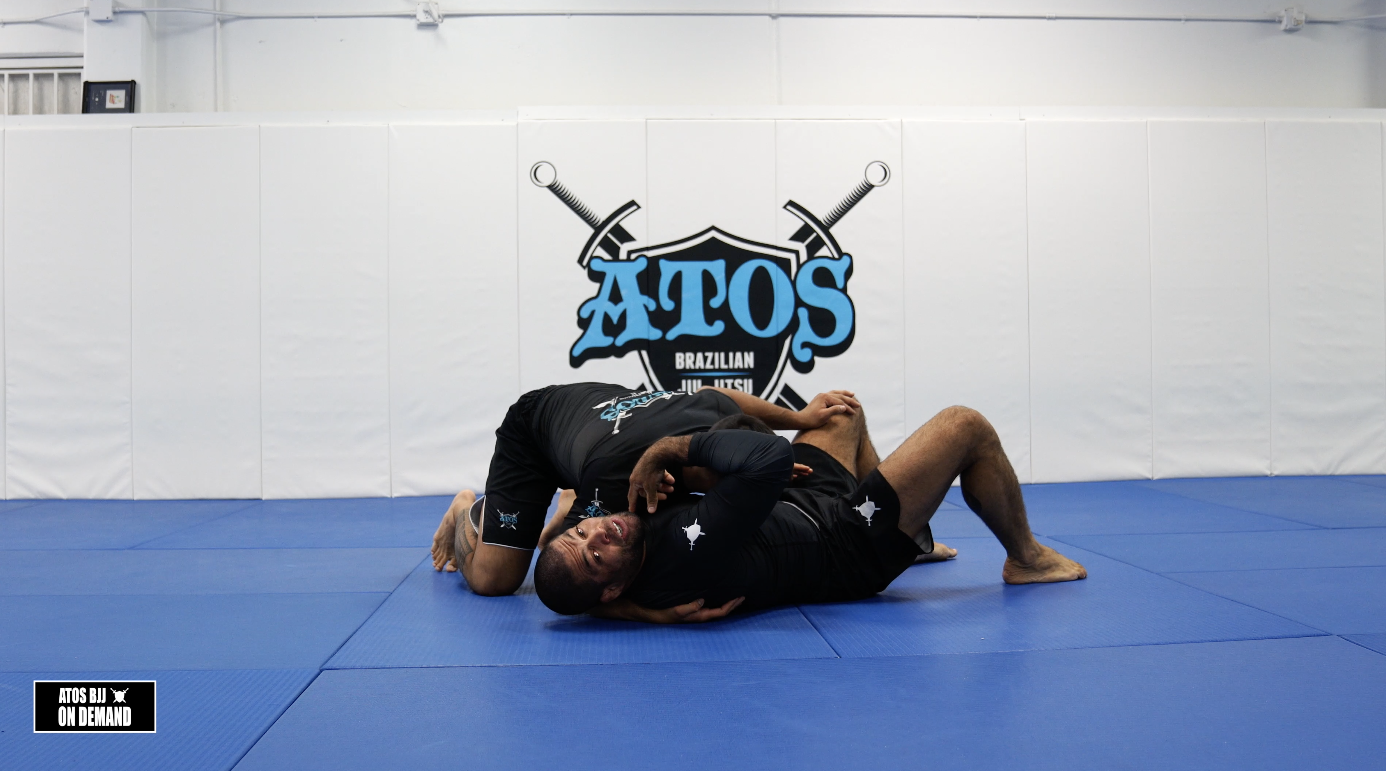 🚨 Never Miss a Guillotine After These Tricks