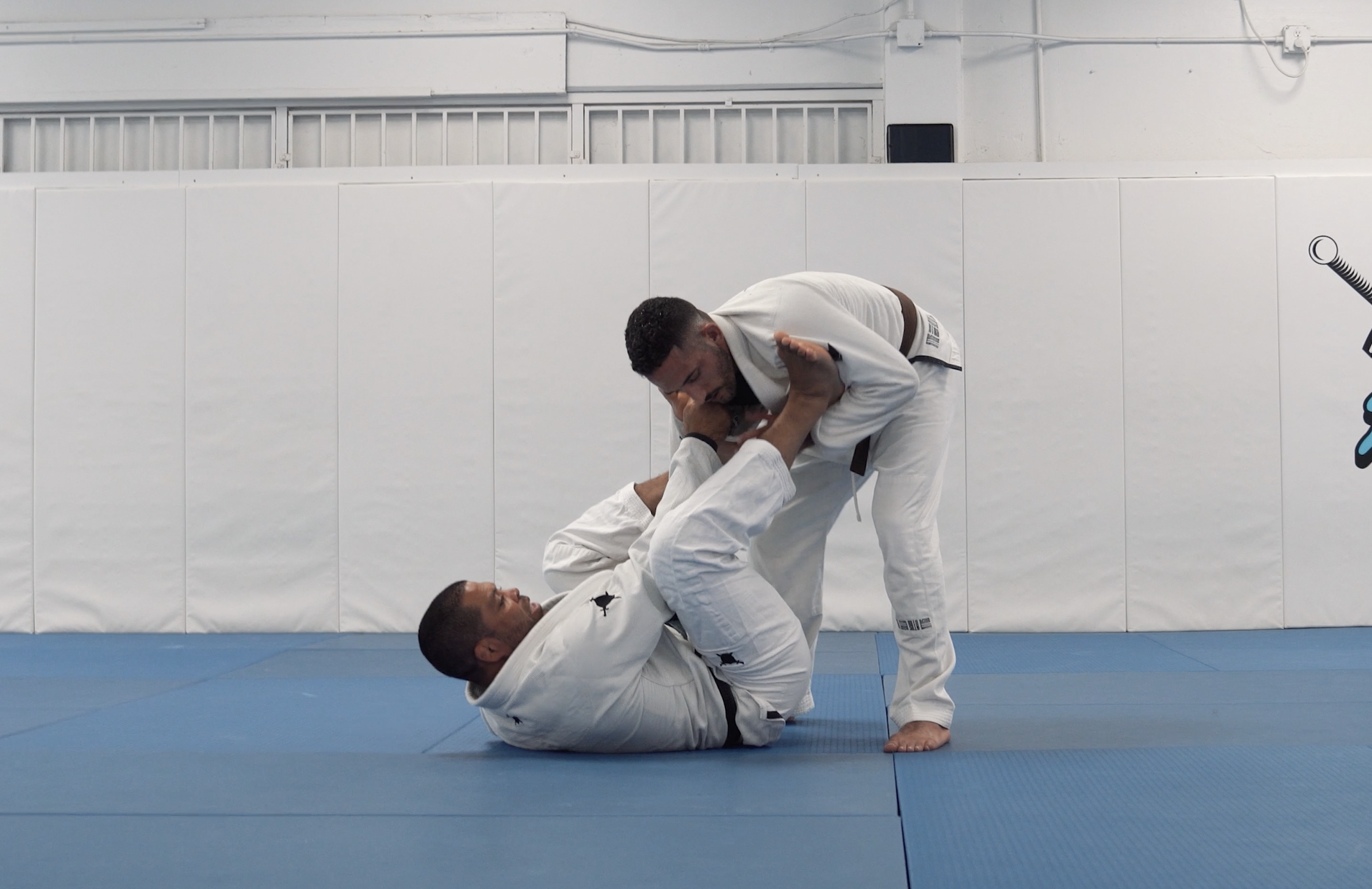 Tarantula Guard Reverse DLR Attacks | Part 1