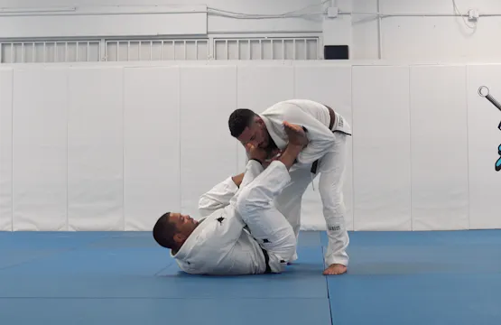 Tarantula Guard Reverse DLR Attacks |...