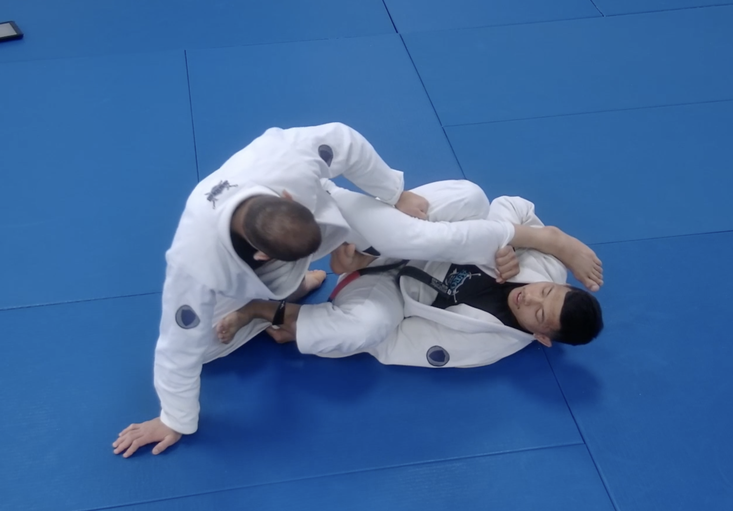 Single Leg X Entry & Sweeps