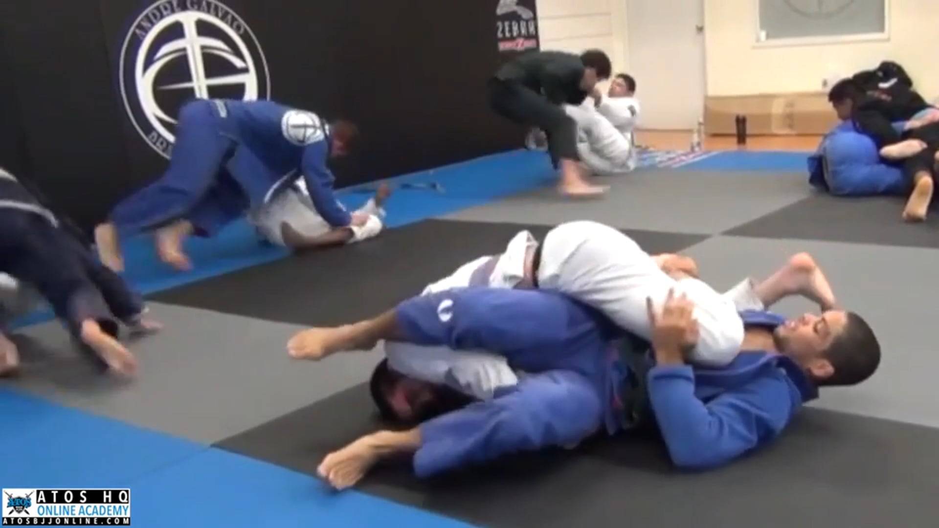 Sparring: Andre Galvao vs John Meno