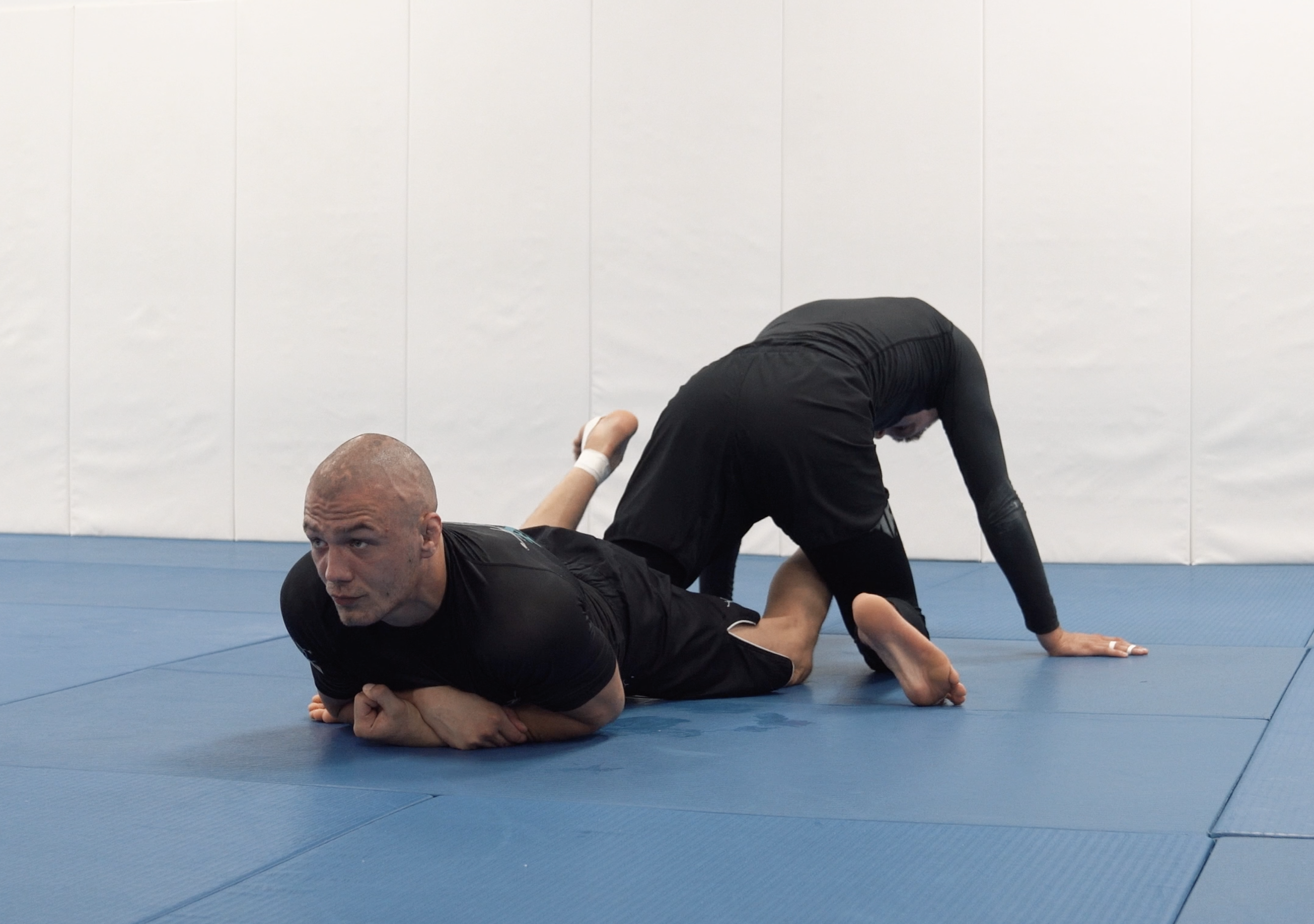 Outside Ashi Polish Ankle Lock - Belly Down Variation | Part 3 