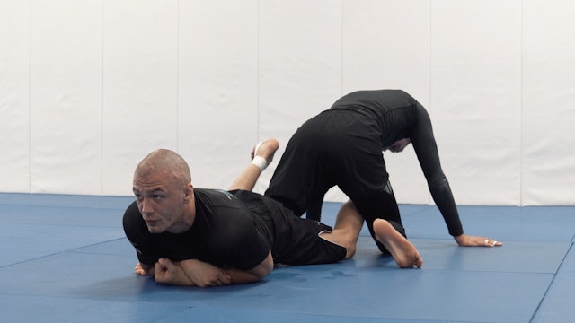 Outside Ashi Polish Ankle Lock - Belly Down Variation | Part 3 