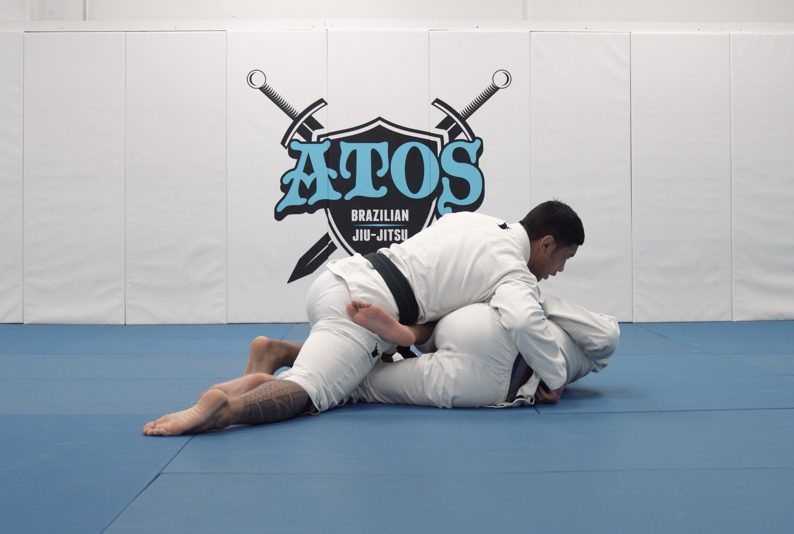 Passing Low Knee Shield