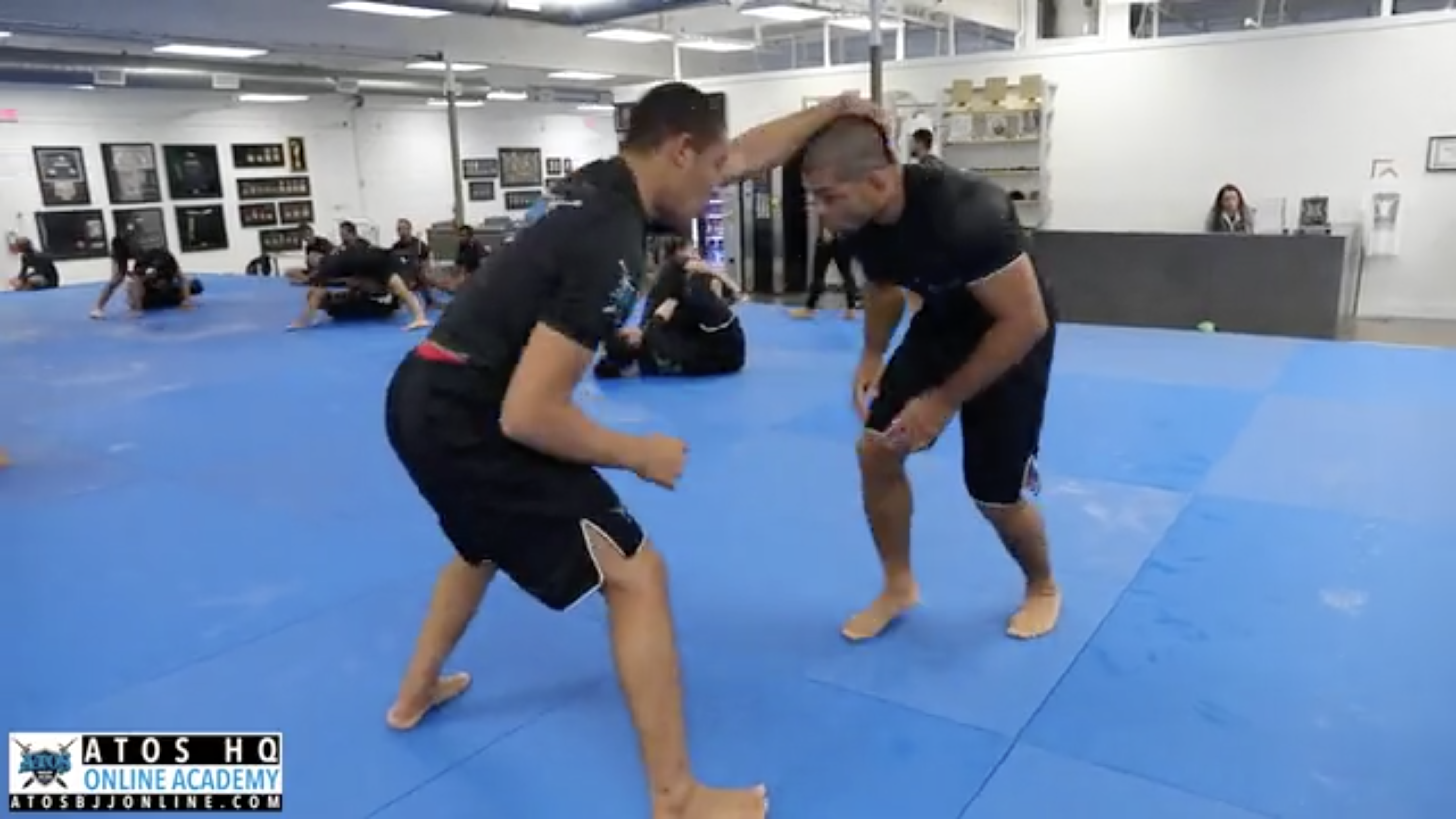 Andre Galvao vs Tye Ruotolo