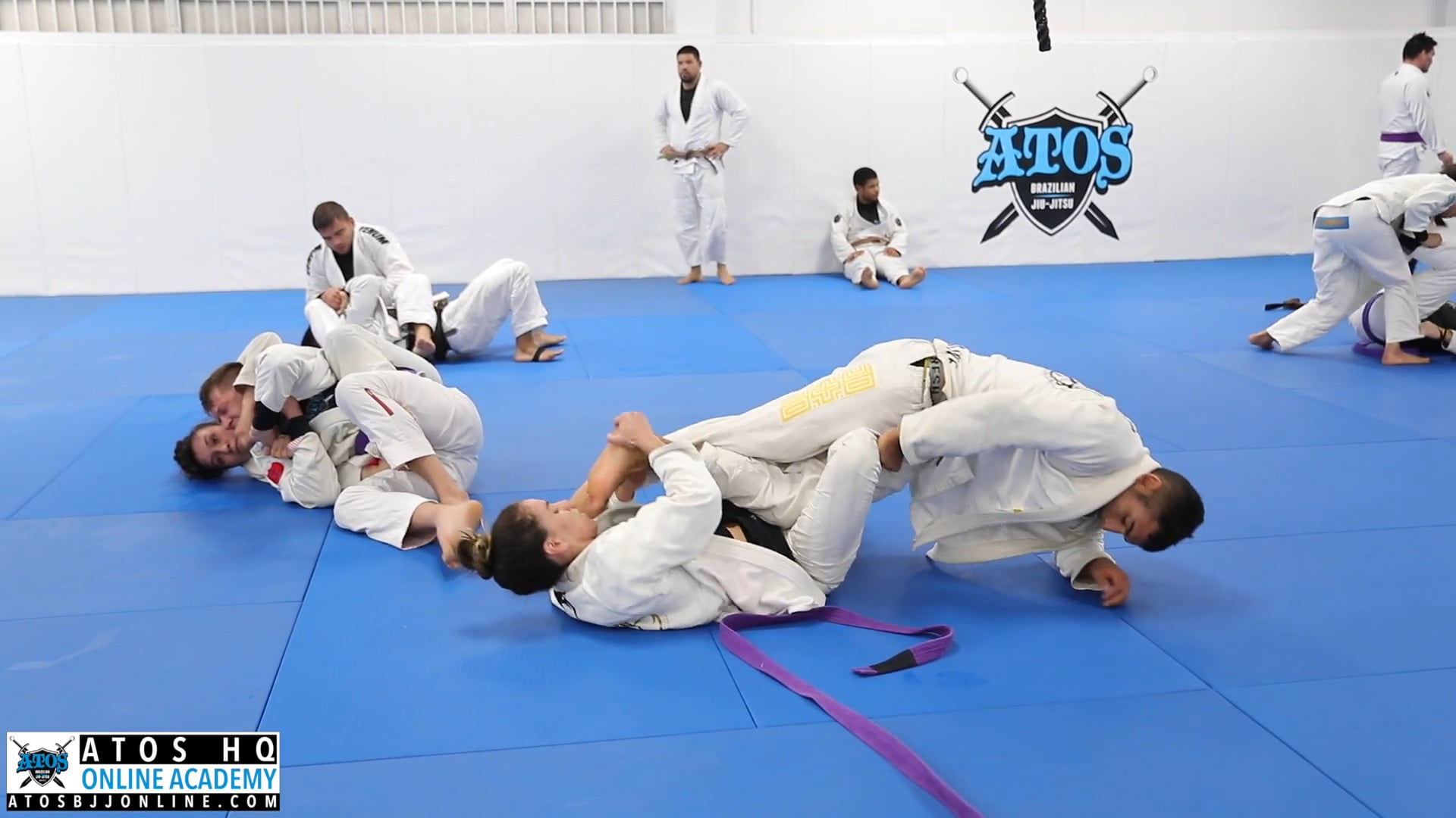 Luiza Monteiro vs Daniel Sathler (Purple)