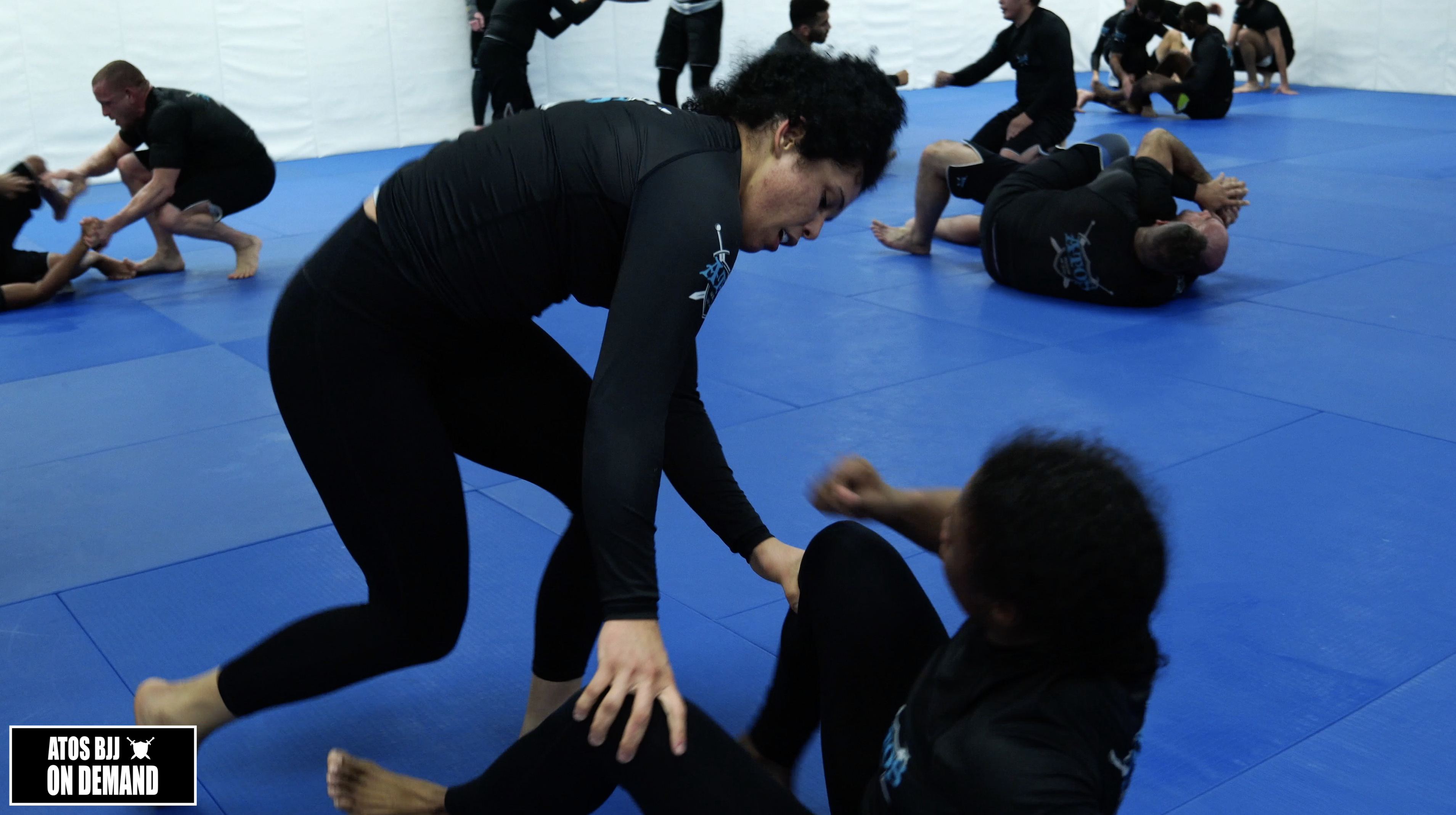 Rafaela Guedes(Black Belt) vs Brittney Johnson(Brown Belt)