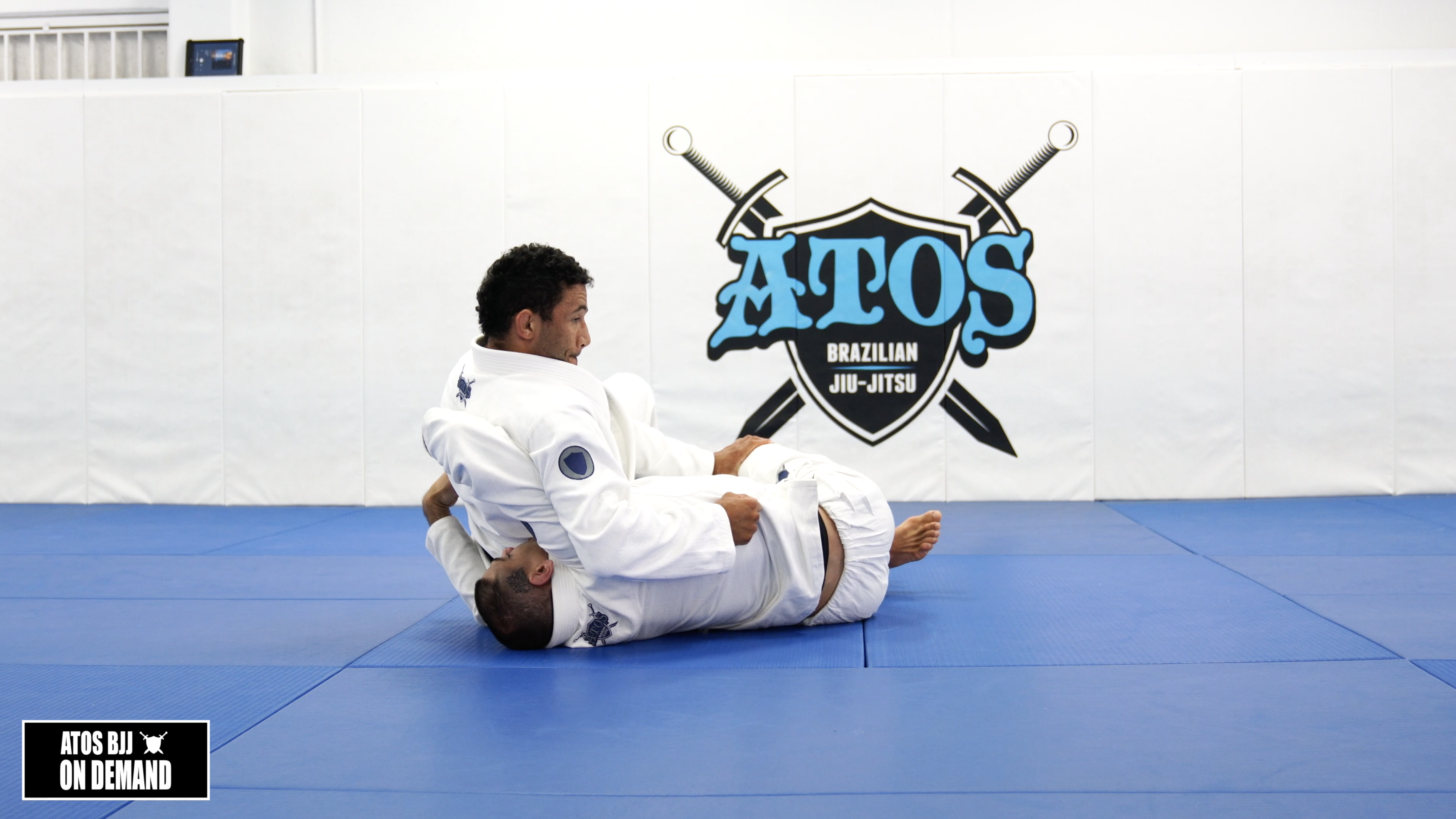 Reverse Half Guard Back Take Concepts