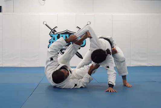 Tarantula Guard Attacks | Part 2