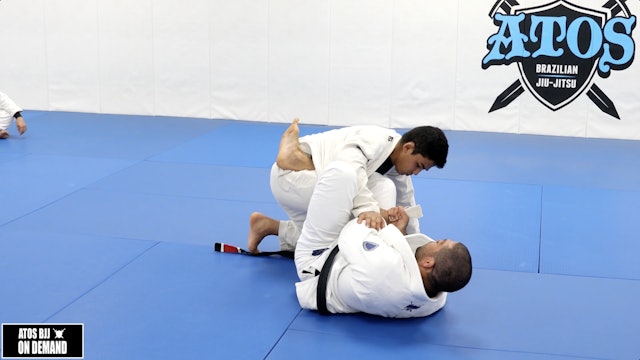 The Vine Guard Sweep From 50/50