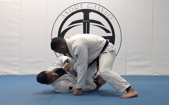 Shin Slicer Pass From Reverse DLR