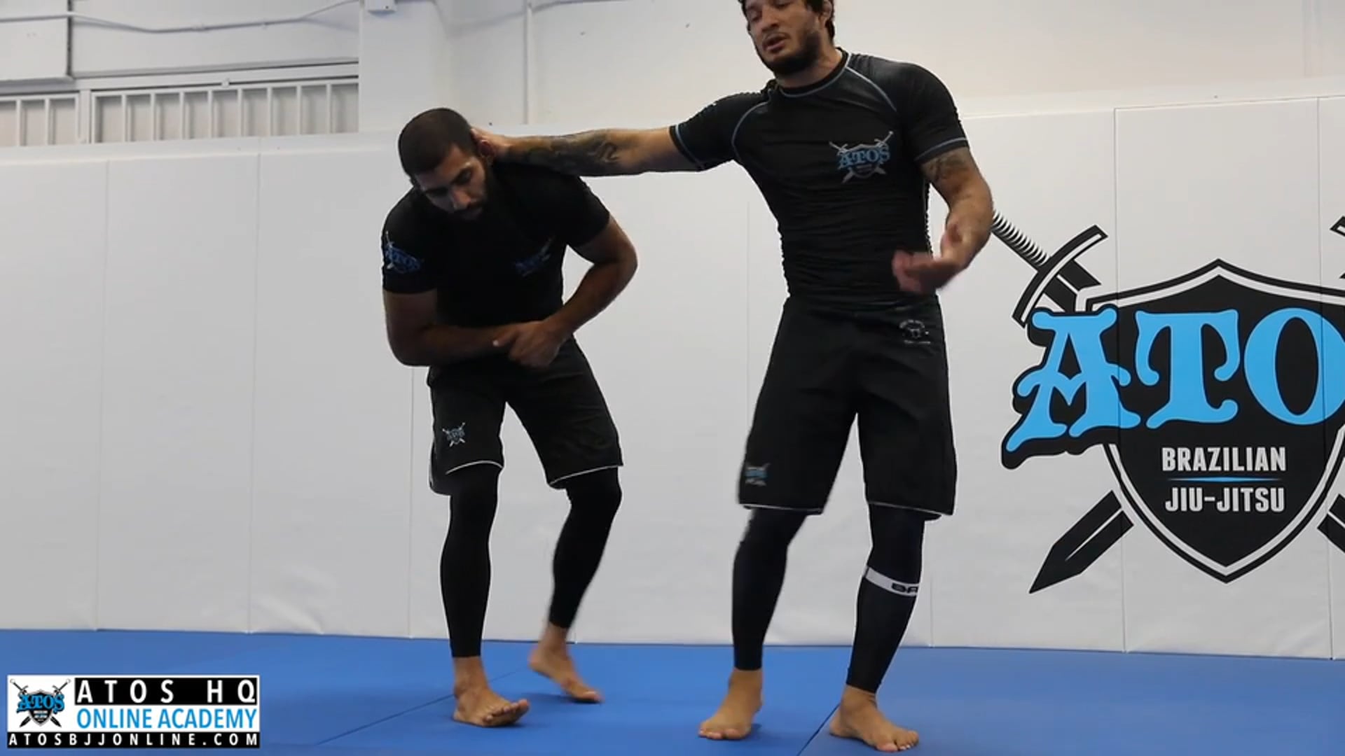 Single Leg Defense Variations 