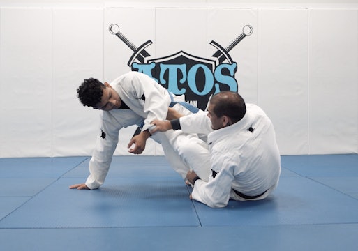 DLR Sweep and Omoplata | Part 2 