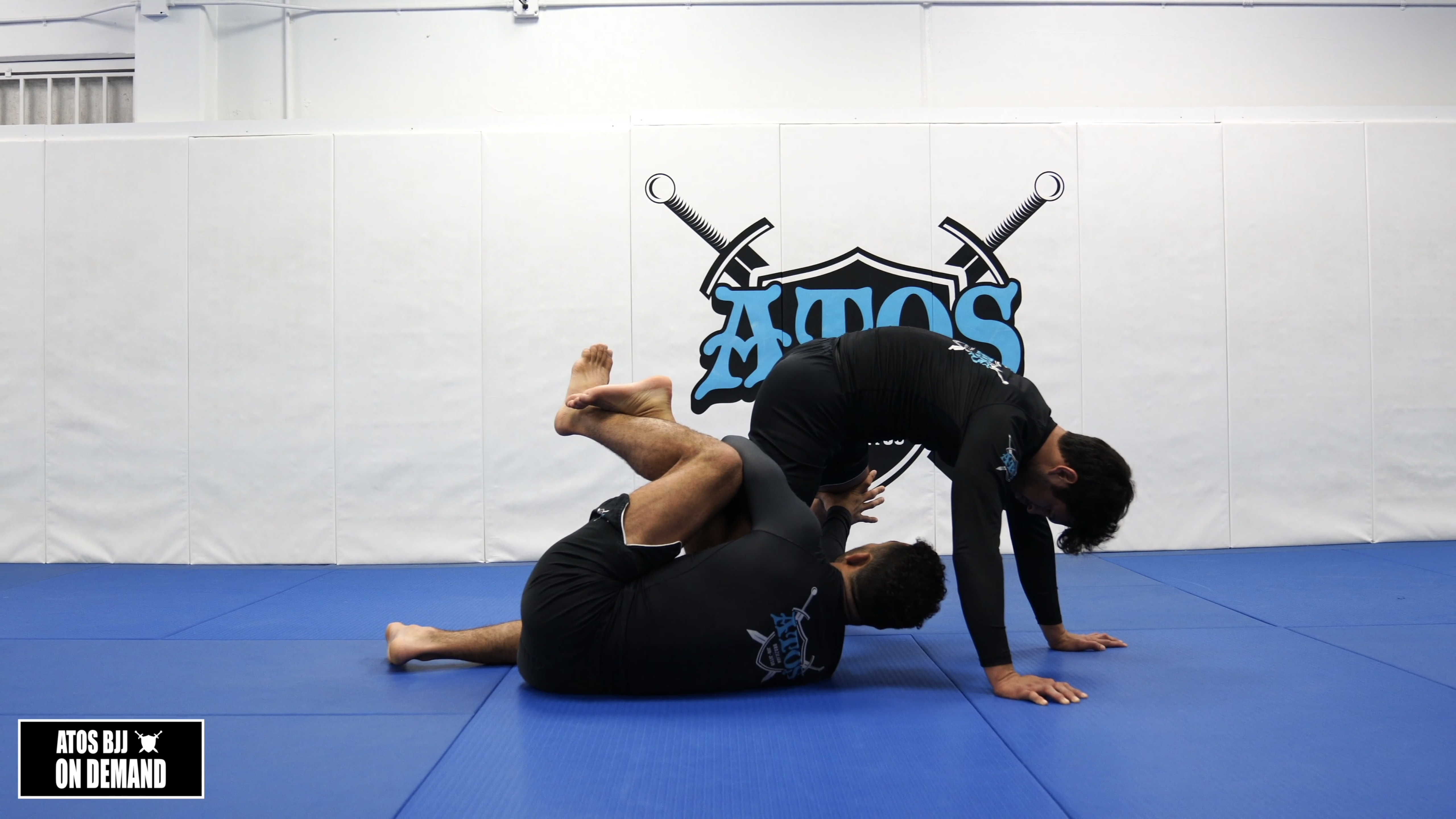 Shin to Shin Low Double Leg & More Variations