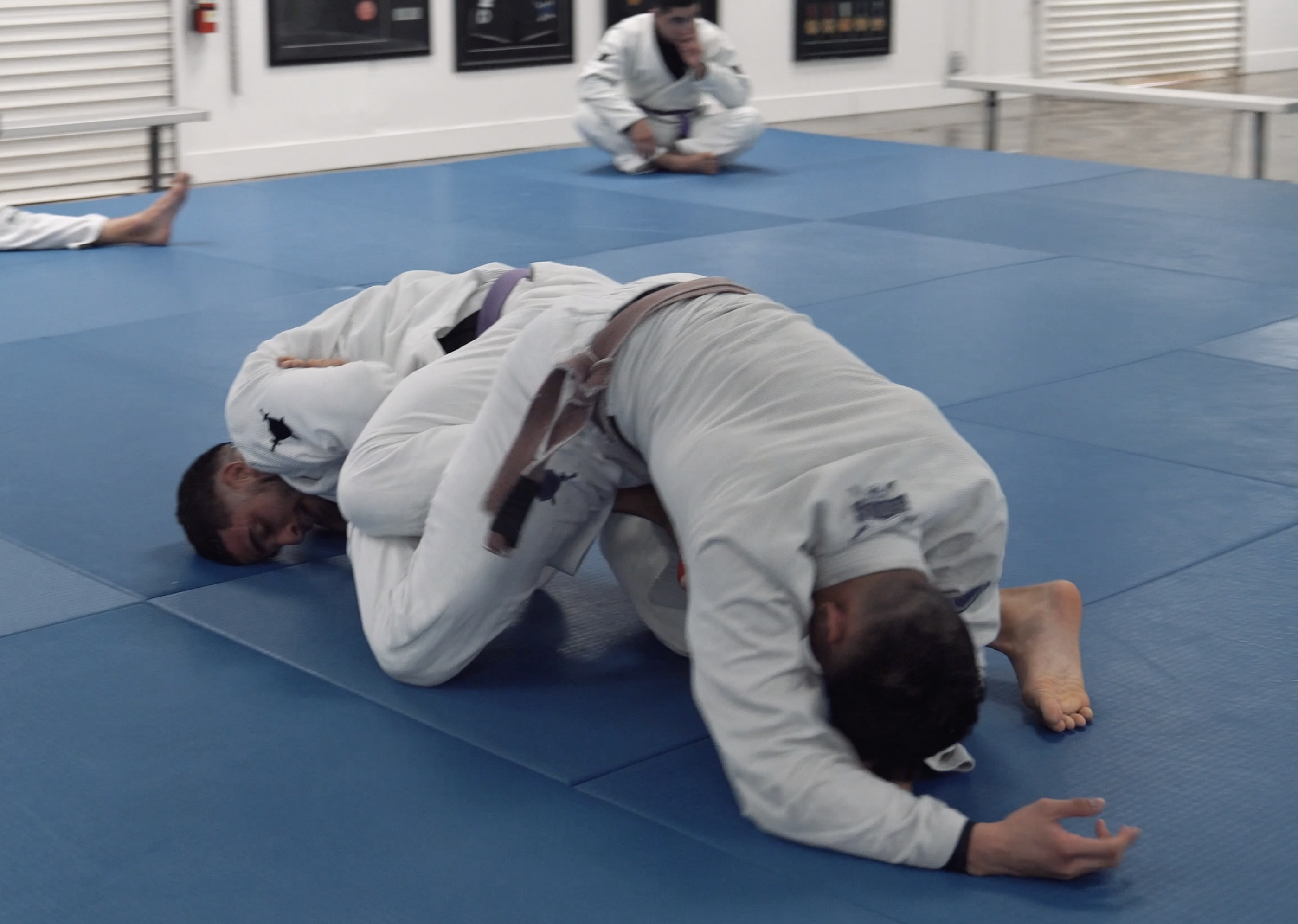 Sparring: Natã Tenca vs Geno Quintin