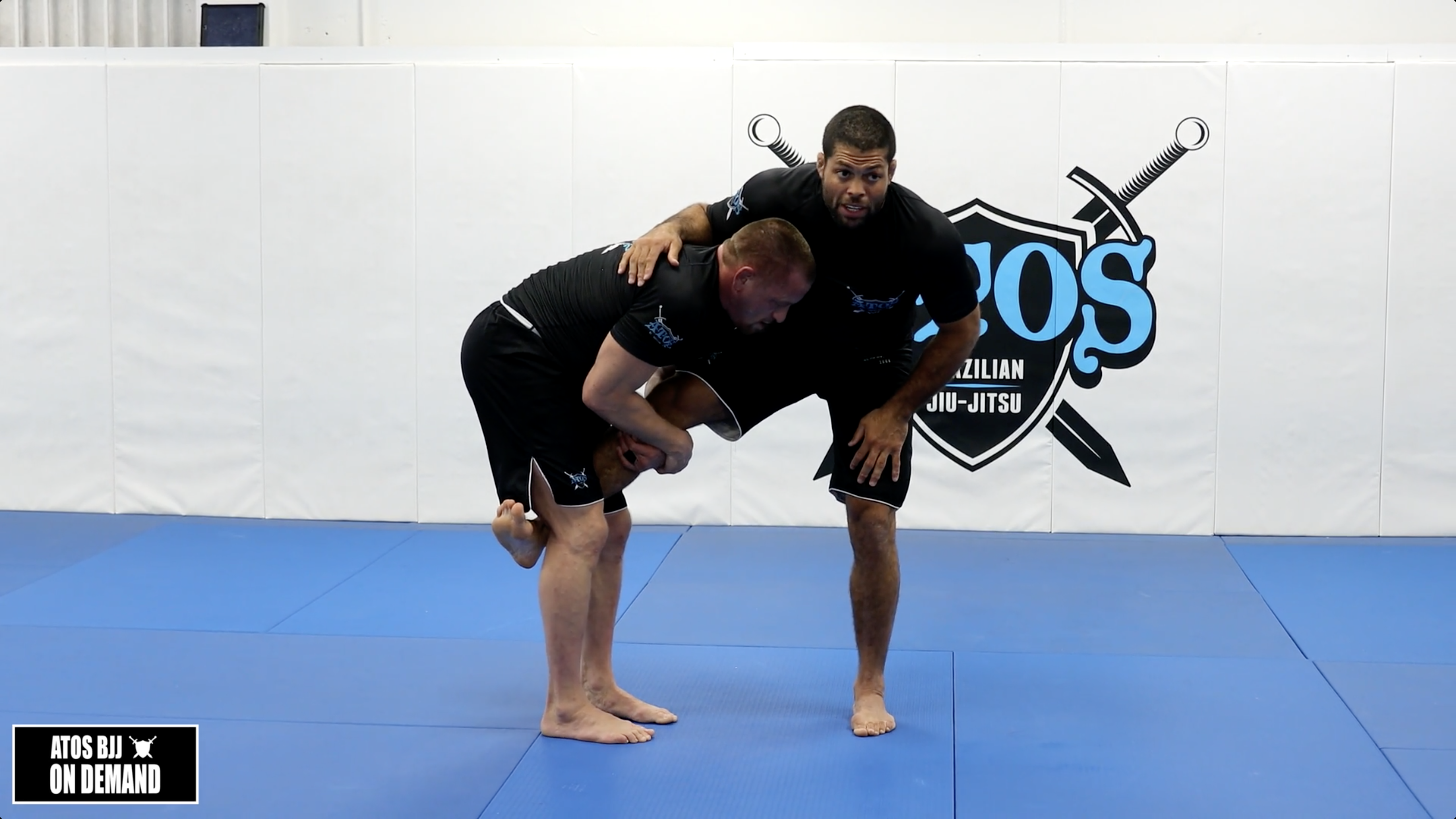 SUMIGAESHI Single Leg Defense