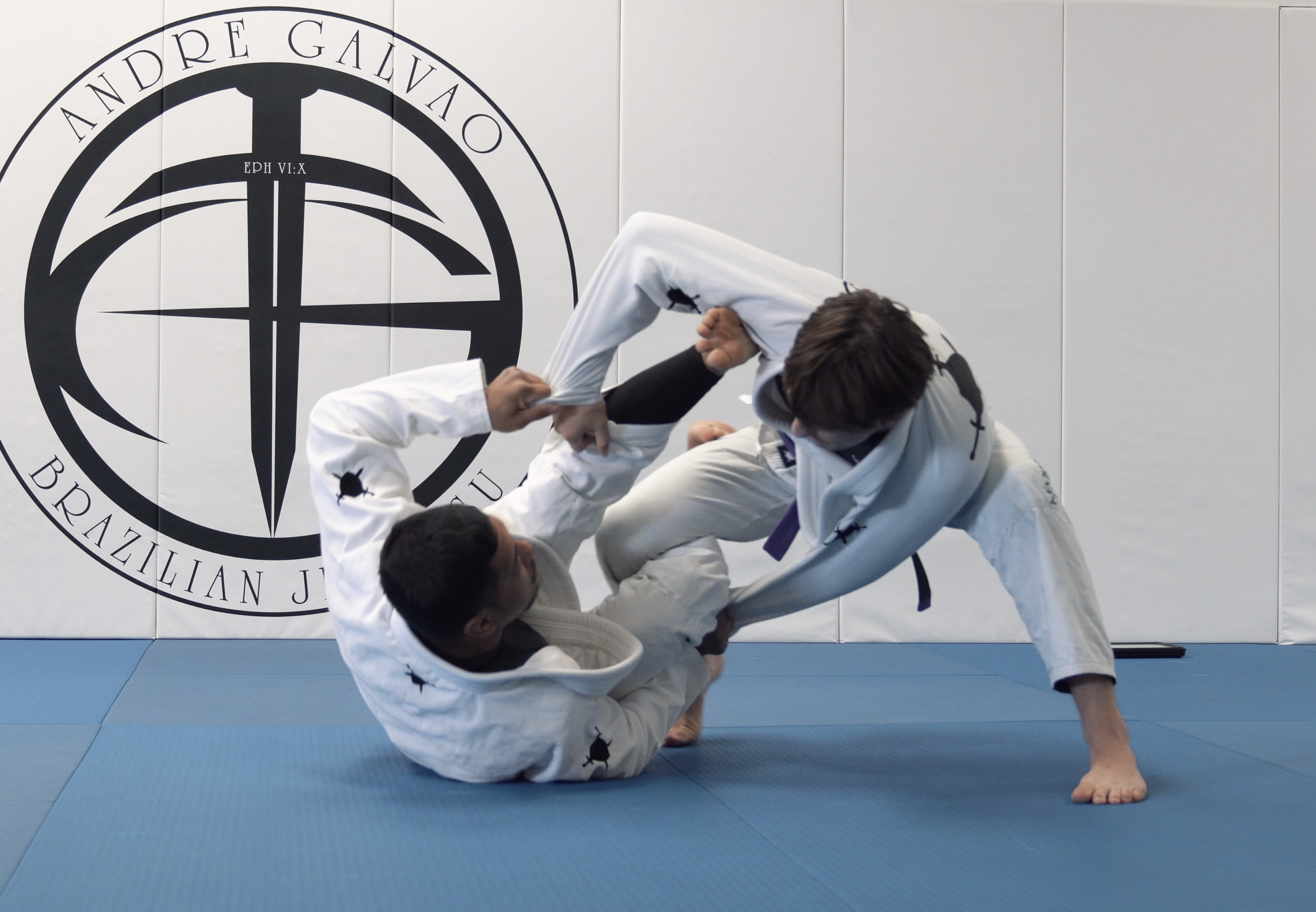 Maintaining Spider Guard for Beginners