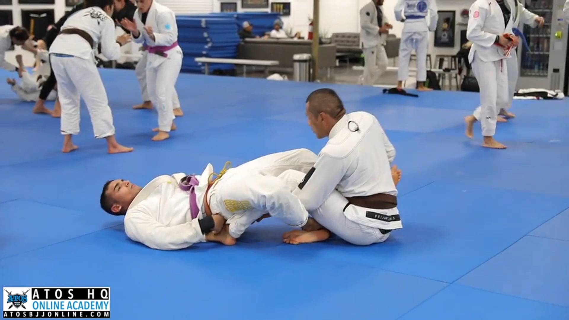 World Champion Daniel Sathler (Purple) vs Ricky Briceno (Brown)