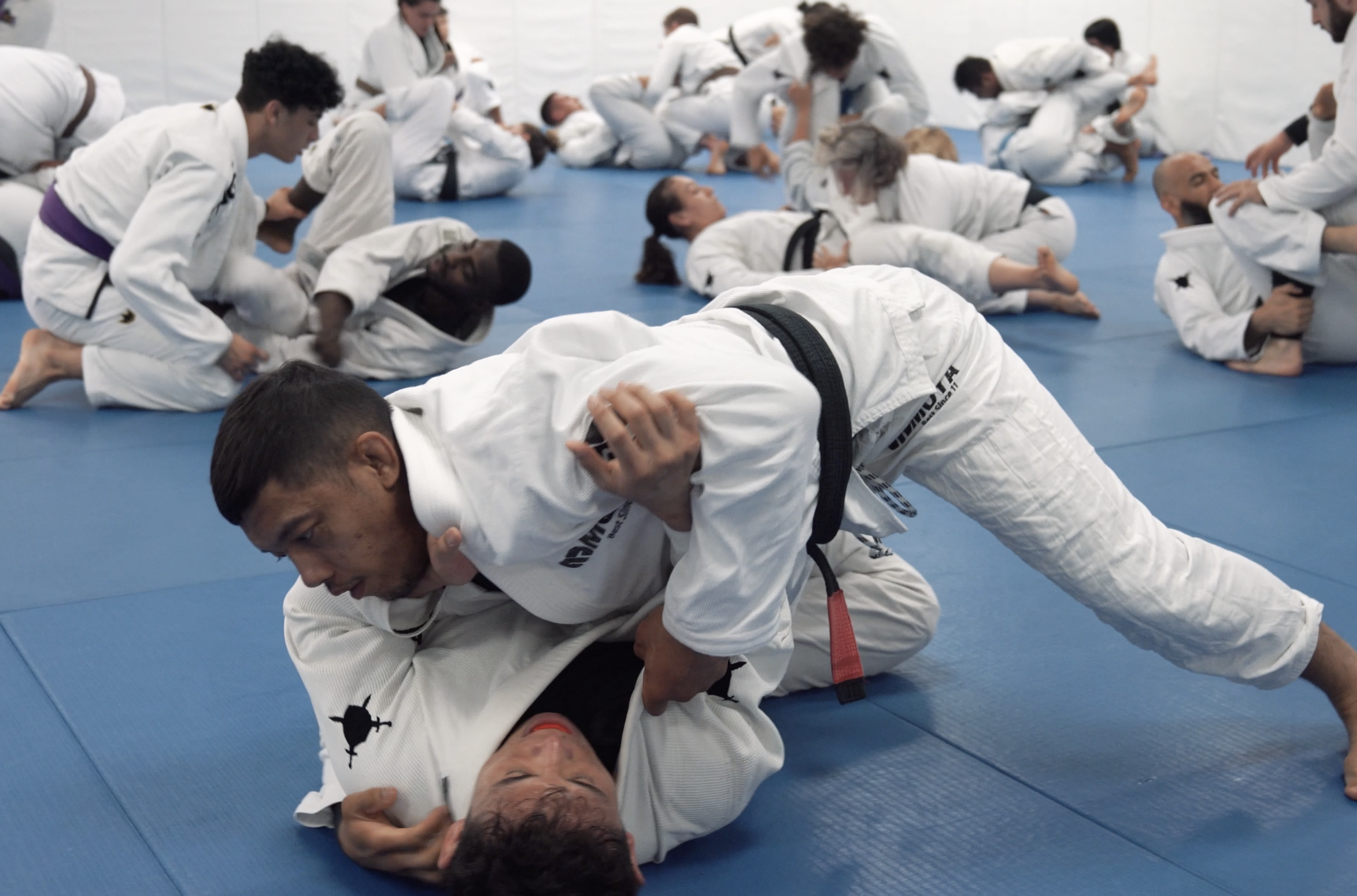 Sparring: Rolando Samson(Black Belt) vs Paul Taing(Brown Belt)