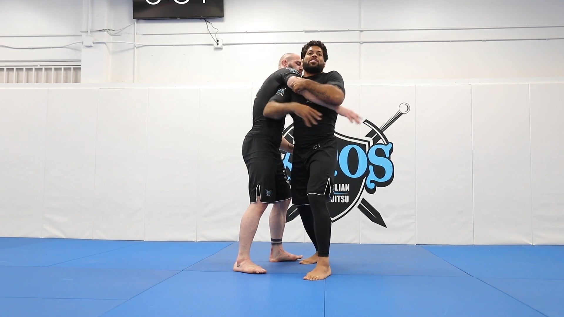 The Alligator Takedown