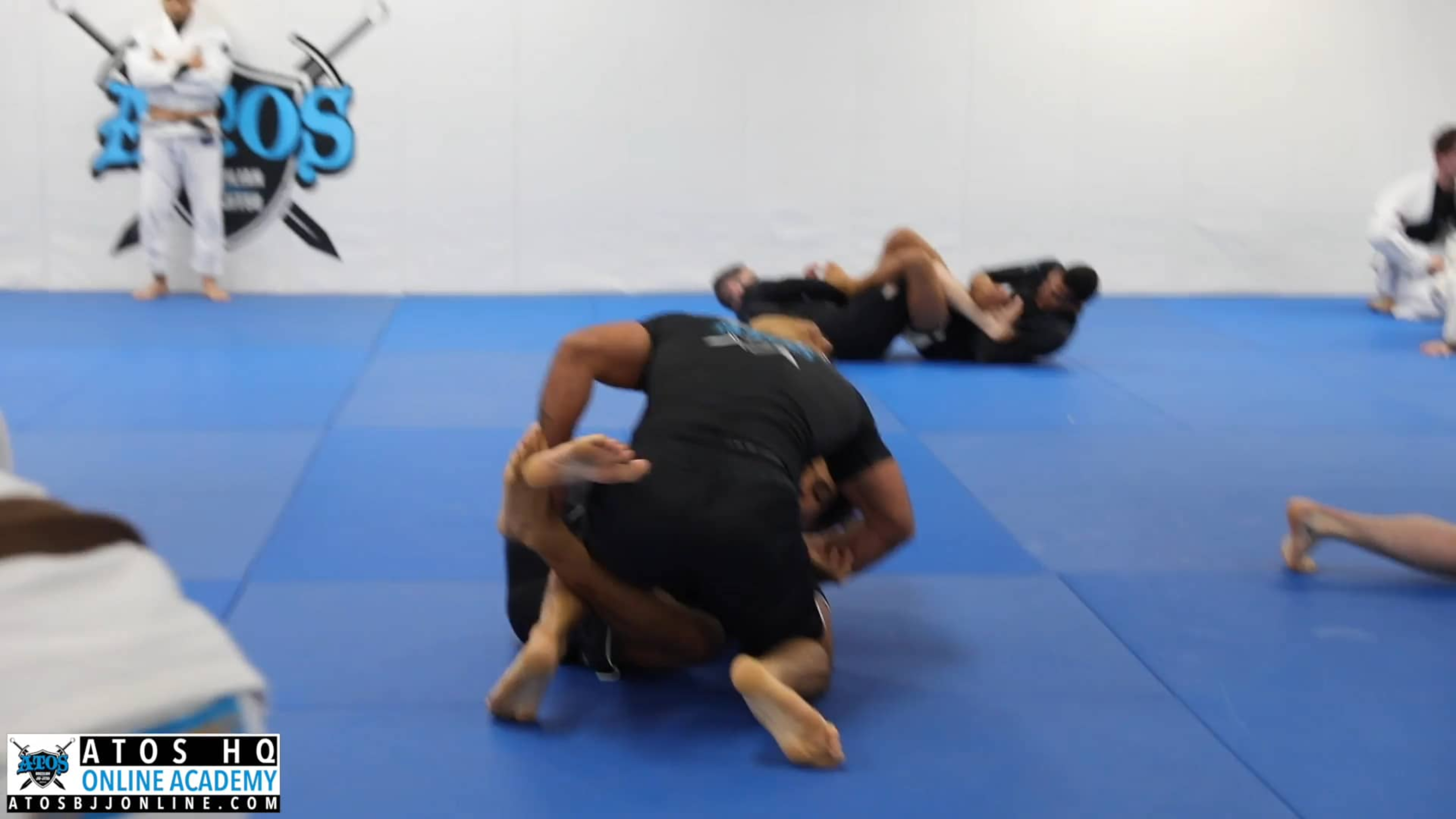 Andre Galvao vs Kade Ruotolo (Brown)